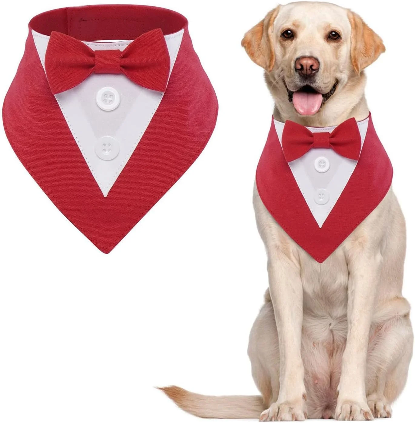 یقه پاپیون دار سگ با طرح رسمی، مناسب جشن تولد، لباس مهمانی حیوانات خانگی، قابل تنظیم برای سگ های کوچک، متوسط و بزرگ یقه پاپیون دار سگ با طرح رسمی، مناسب جشن تولد، لباس مهمانی حیوانات خانگی، قابل تنظیم برای سگ های کوچک، متوسط و بزرگ