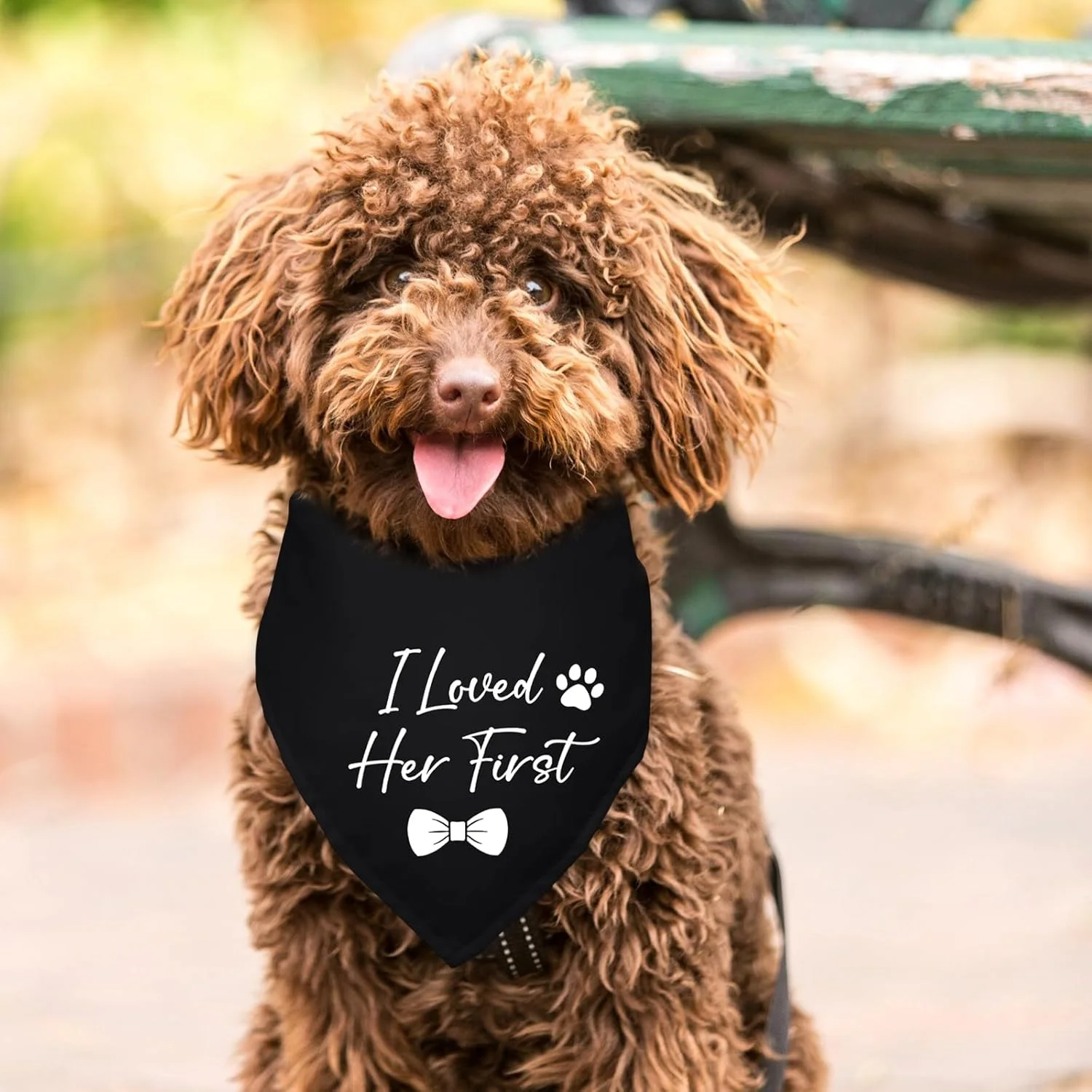 دستمال گردن سگ با طرح "اولین بار عاشقش شدم"، مناسب جشن عروسی، نامزدی و عکاسی، اکسسوری حیوانات خانگی، دستمال گردن مشکی برای دوستداران سگ دستمال گردن سگ با طرح "اولین بار عاشقش شدم"، مناسب جشن عروسی، نامزدی و عکاسی، اکسسوری حیوانات خانگی، دستمال گردن مشکی برای دوستداران سگ