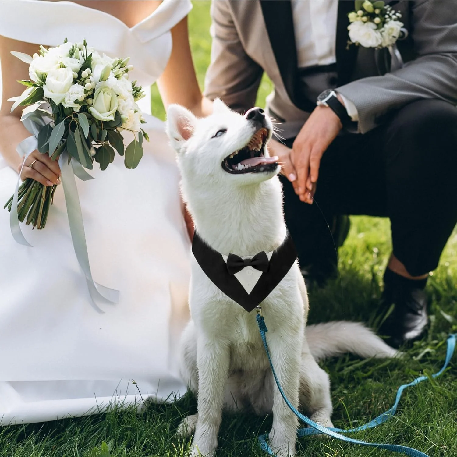 دستمال گردن سگ با طرح تاکسیدو رسمی، دستمال گردن پاپیونی سگ قابل تنظیم، لباس تولد سگ، کت و شلوار رسمی عروسی سگ با پاپیون برای سگ های کوچک، متوسط و بزرگ دستمال گردن سگ با طرح تاکسیدو رسمی، دستمال گردن پاپیونی سگ قابل تنظیم، لباس تولد سگ، کت و شلوار رسمی عروسی سگ با پاپیون برای سگ های کوچک، متوسط و بزرگ