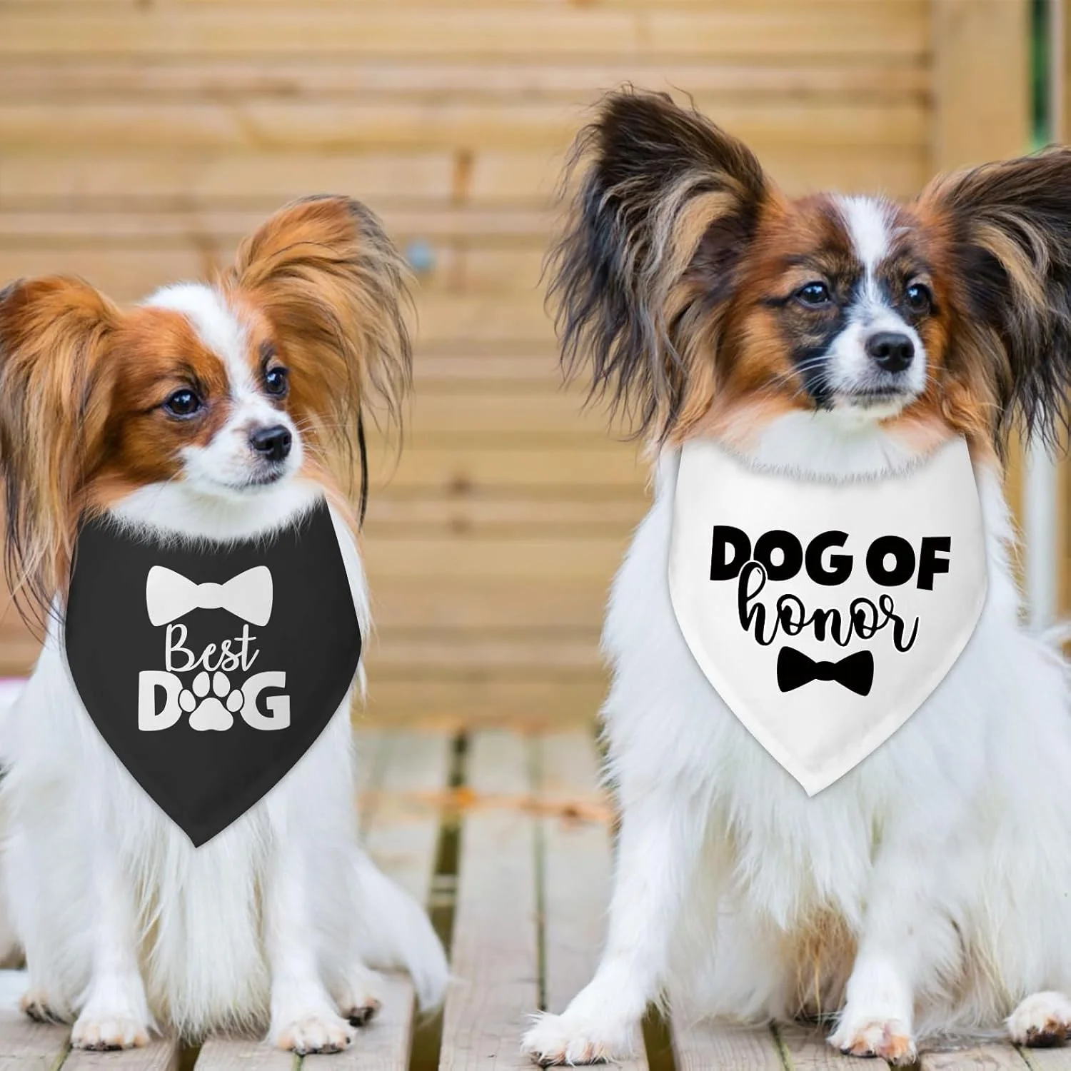 ست دو عددی دستمال گردن سگ، مناسب برای سگ های کوچک و متوسط ست دو عددی دستمال گردن سگ، مناسب برای سگ های کوچک و متوسط