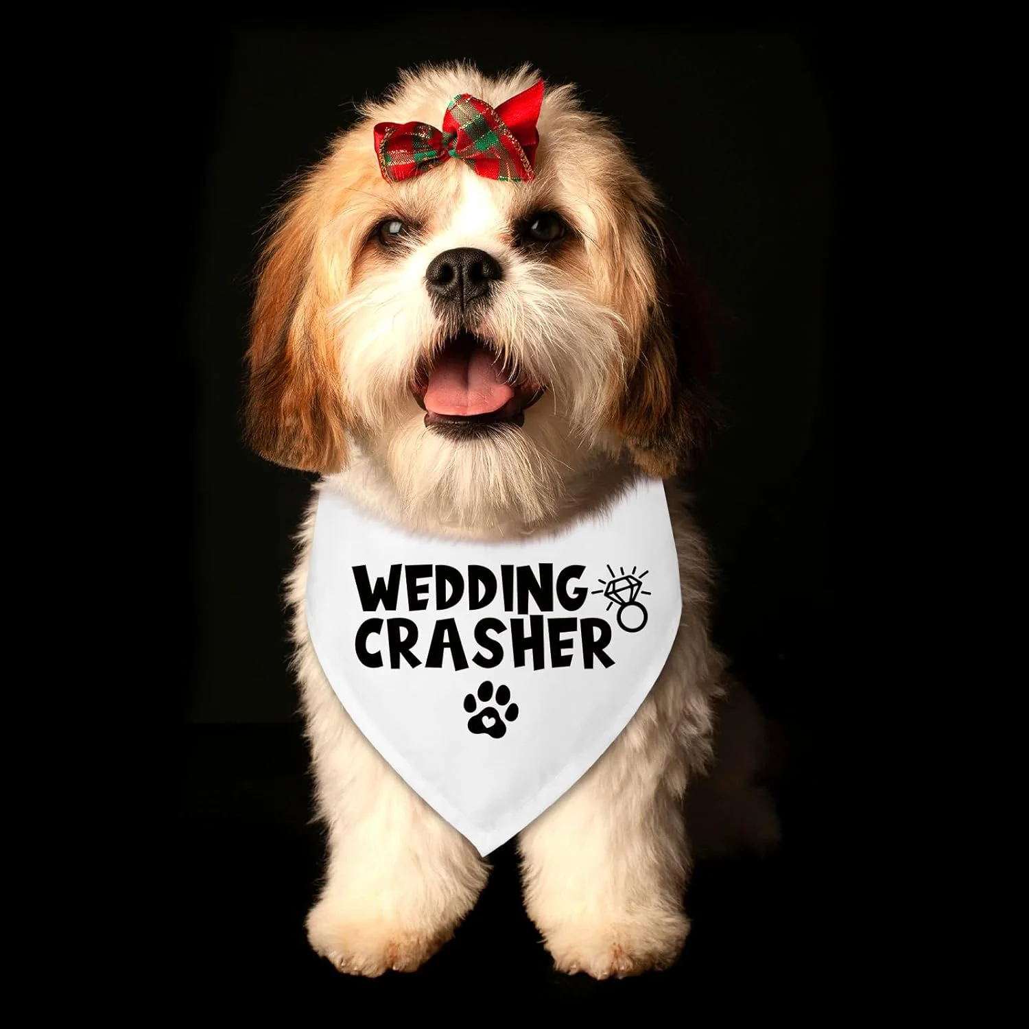دستمال گردن سگ طرح عروسی، مناسب سگ ها، دستمال گردن سگ برای اعلام نامزدی، هدیه نامزدی برای زوج ها، شال حیوانات خانگی برای گربه ها و سگ های کوچک و متوسط دستمال گردن سگ طرح عروسی، مناسب سگ ها، دستمال گردن سگ برای اعلام نامزدی، هدیه نامزدی برای زوج ها، شال حیوانات خانگی برای گربه ها و سگ های کوچک و متوسط