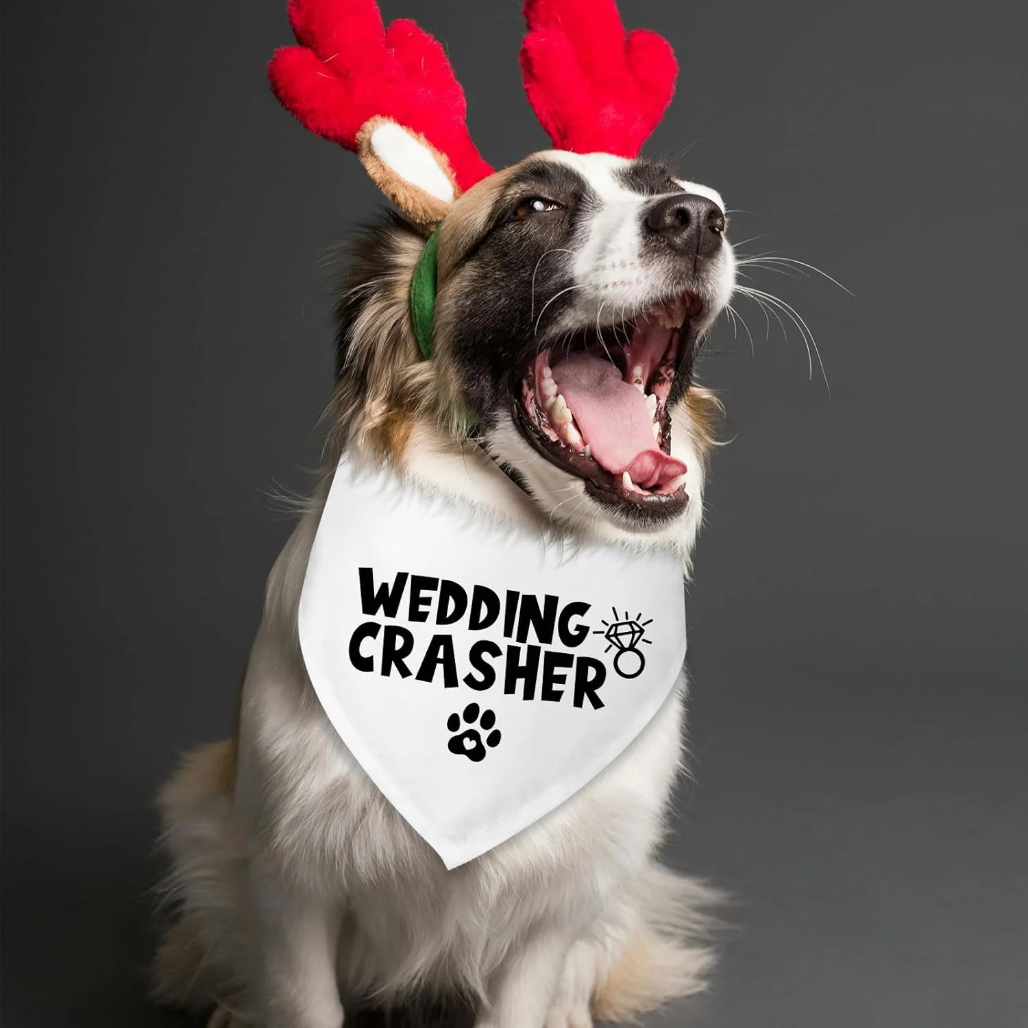 دستمال گردن سگ طرح عروسی، مناسب برای سگ ها، دستمال گردن سگ برای مراسم نامزدی، هدیه نامزدی برای زوج ها، شال حیوانات خانگی برای گربه ها و سگ های کوچک و متوسط دستمال گردن سگ طرح عروسی، مناسب برای سگ ها، دستمال گردن سگ برای مراسم نامزدی، هدیه نامزدی برای زوج ها، شال حیوانات خانگی برای گربه ها و سگ های کوچک و متوسط