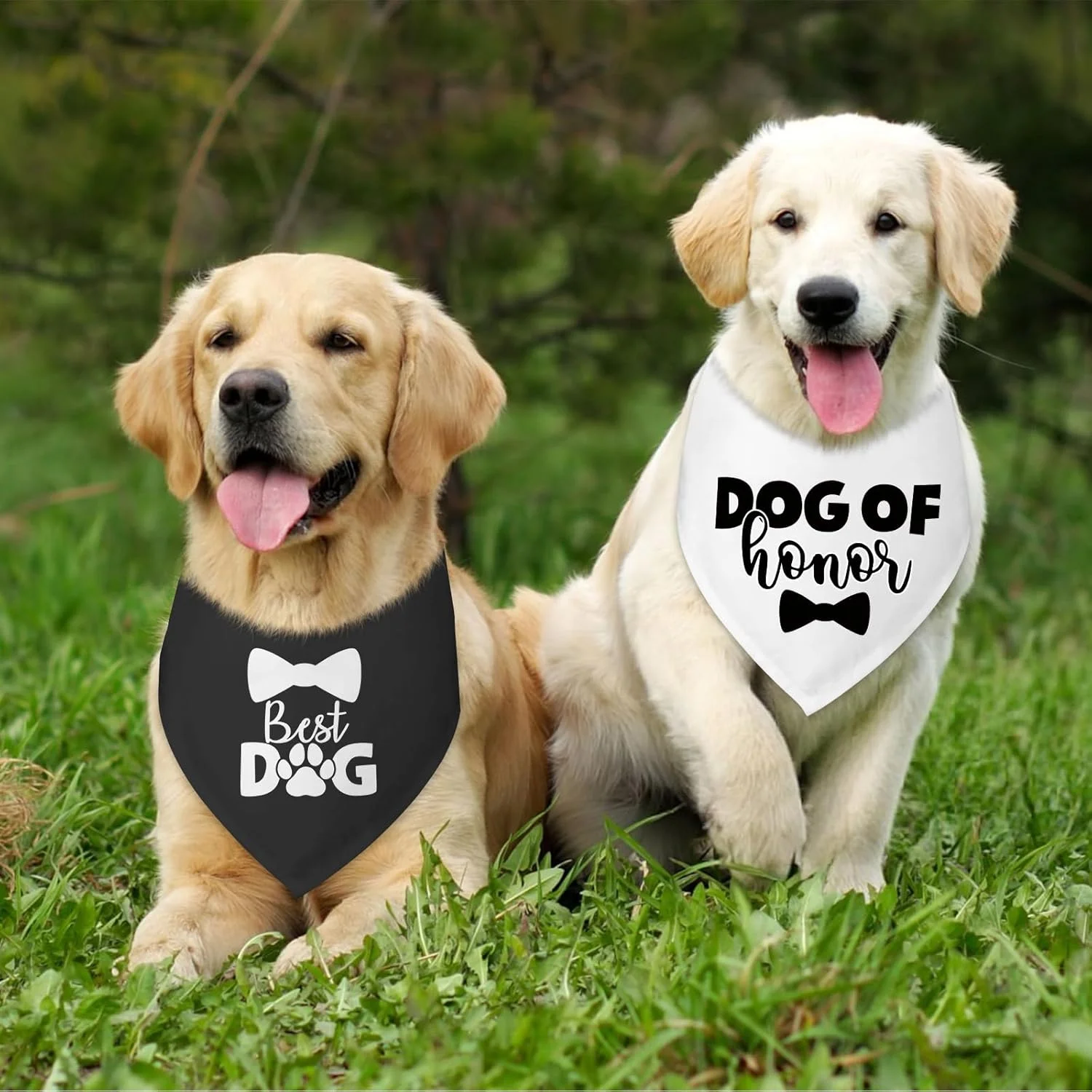 ست دو عددی دستمال گردن سگ، مناسب برای سگ های کوچک و متوسط ست دو عددی دستمال گردن سگ، مناسب برای سگ های کوچک و متوسط