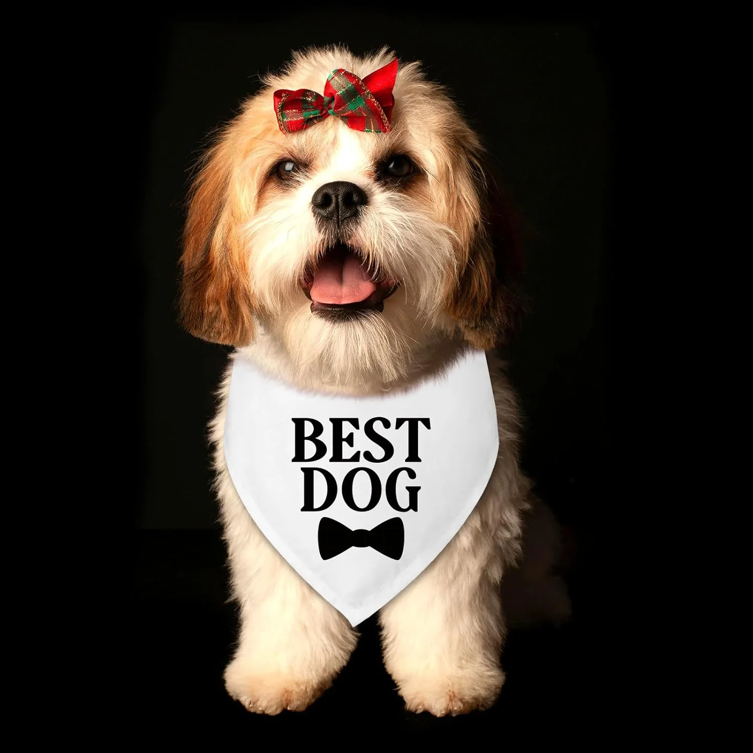 هدیه عروسی برای زوج ها، بهترین دستمال گردن سگ، دستمال گردن سگ مناسب برای عروسی، اعلام نامزدی، هدیه نامزدی برای زوج ها، روسری حیوانات خانگی برای گربه ها و سگ های کوچک و متوسط هدیه عروسی برای زوج ها، بهترین دستمال گردن سگ، دستمال گردن سگ مناسب برای عروسی، اعلام نامزدی، هدیه نامزدی برای زوج ها، روسری حیوانات خانگی برای گربه ها و سگ های کوچک و متوسط