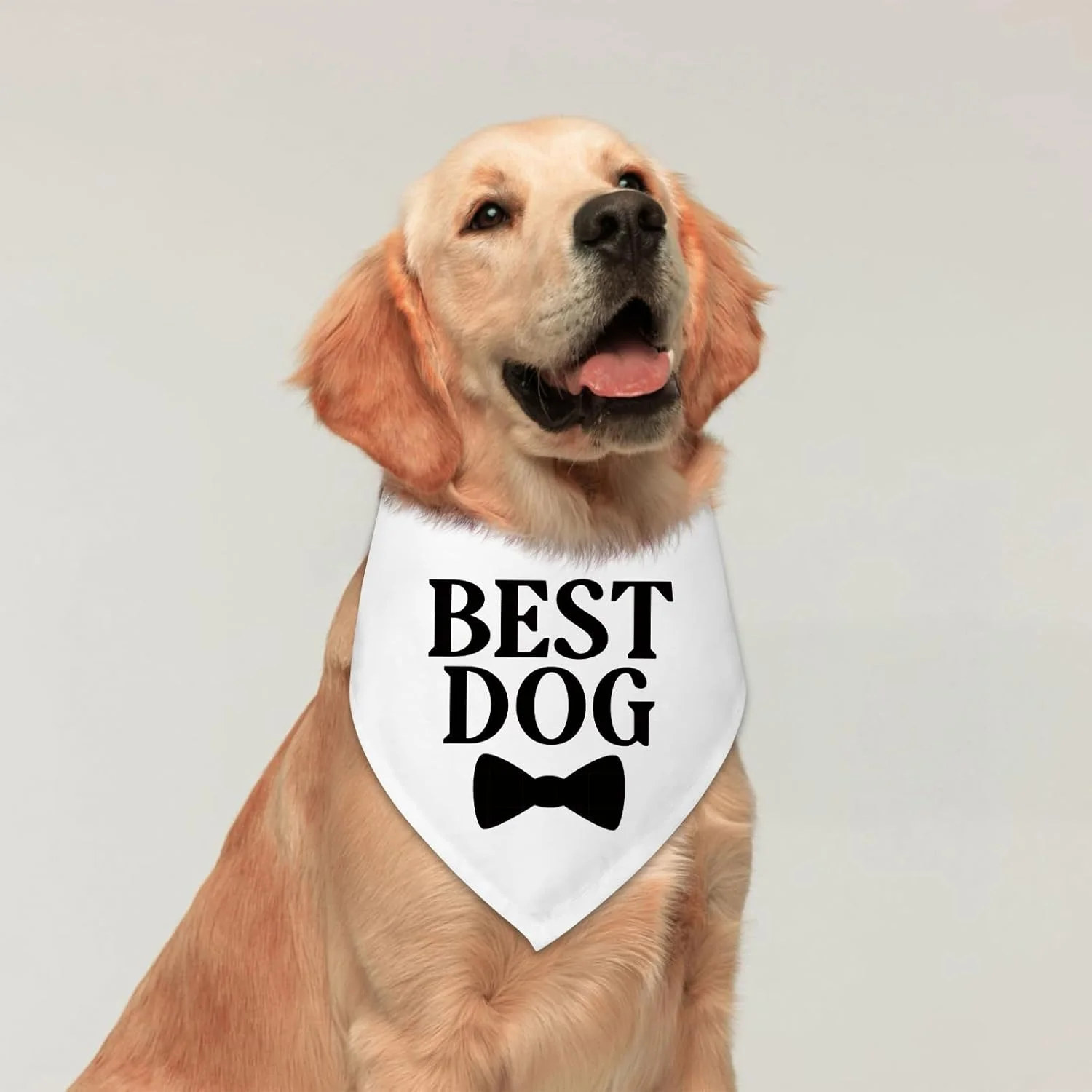 هدیه عروسی برای زوج ها، بهترین دستمال گردن سگ، دستمال گردن سگ مناسب برای عروسی، اعلام نامزدی، هدیه نامزدی برای زوج ها، روسری حیوانات خانگی برای گربه ها و سگ های کوچک و متوسط هدیه عروسی برای زوج ها، بهترین دستمال گردن سگ، دستمال گردن سگ مناسب برای عروسی، اعلام نامزدی، هدیه نامزدی برای زوج ها، روسری حیوانات خانگی برای گربه ها و سگ های کوچک و متوسط