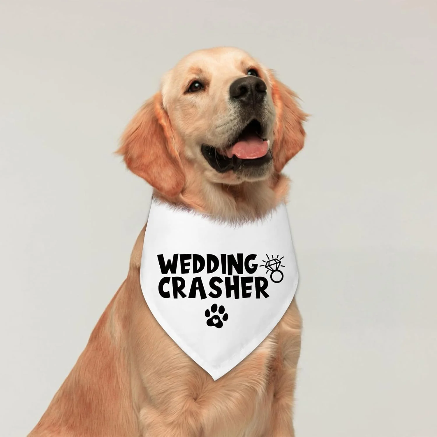 دستمال گردن سگ طرح عروسی، مناسب برای سگ ها، دستمال گردن سگ برای مراسم نامزدی، هدیه نامزدی برای زوج ها، شال حیوانات خانگی برای گربه ها و سگ های کوچک و متوسط دستمال گردن سگ طرح عروسی، مناسب برای سگ ها، دستمال گردن سگ برای مراسم نامزدی، هدیه نامزدی برای زوج ها، شال حیوانات خانگی برای گربه ها و سگ های کوچک و متوسط