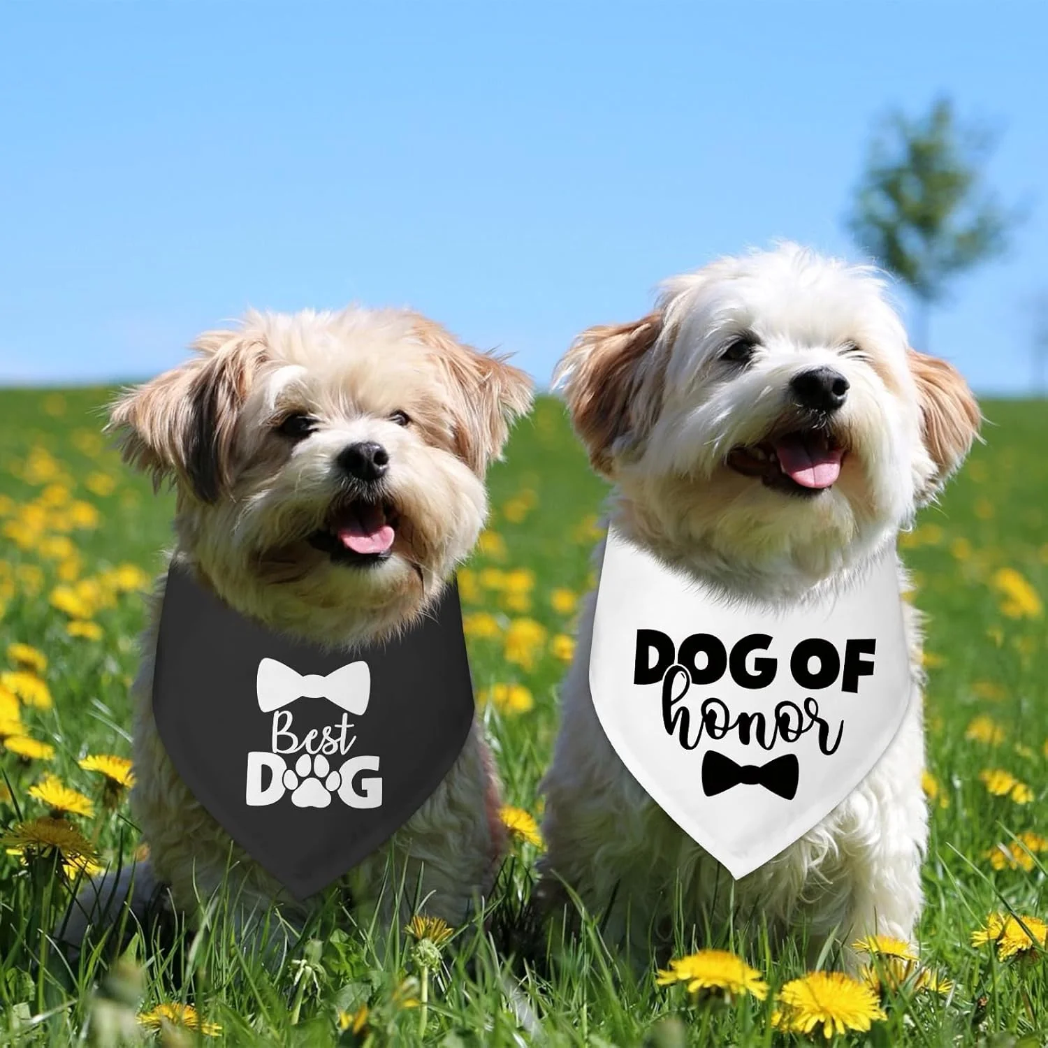 ست دو عددی دستمال گردن سگ، مناسب برای سگ های کوچک و متوسط، ایده آل برای جشن ها و مناسبت های خاص ست دو عددی دستمال گردن سگ، مناسب برای سگ های کوچک و متوسط، ایده آل برای جشن ها و مناسبت های خاص