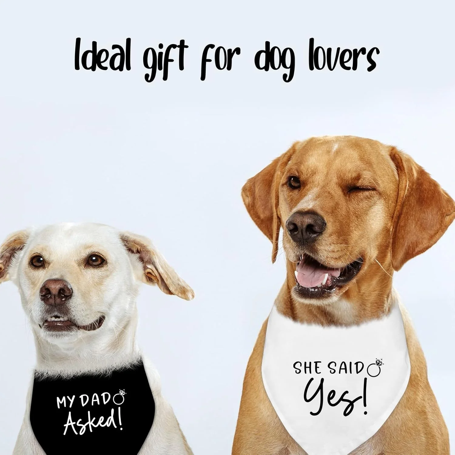 دستمال گردن سگ با طرح عروسی و نامزدی، اکسسوری و لباس سگ، شال سگ، مناسب عکاسی عروسی، طرح "پدرم پرسید! او بله گفت!"، لباس خنده دار سگ برای جشن نامزدی و عروسی (سیاه + سفید) دستمال گردن سگ با طرح عروسی و نامزدی، اکسسوری و لباس سگ، شال سگ، مناسب عکاسی عروسی، طرح "پدرم پرسید! او بله گفت!"، لباس خنده دار سگ برای جشن نامزدی و عروسی (سیاه + سفید)