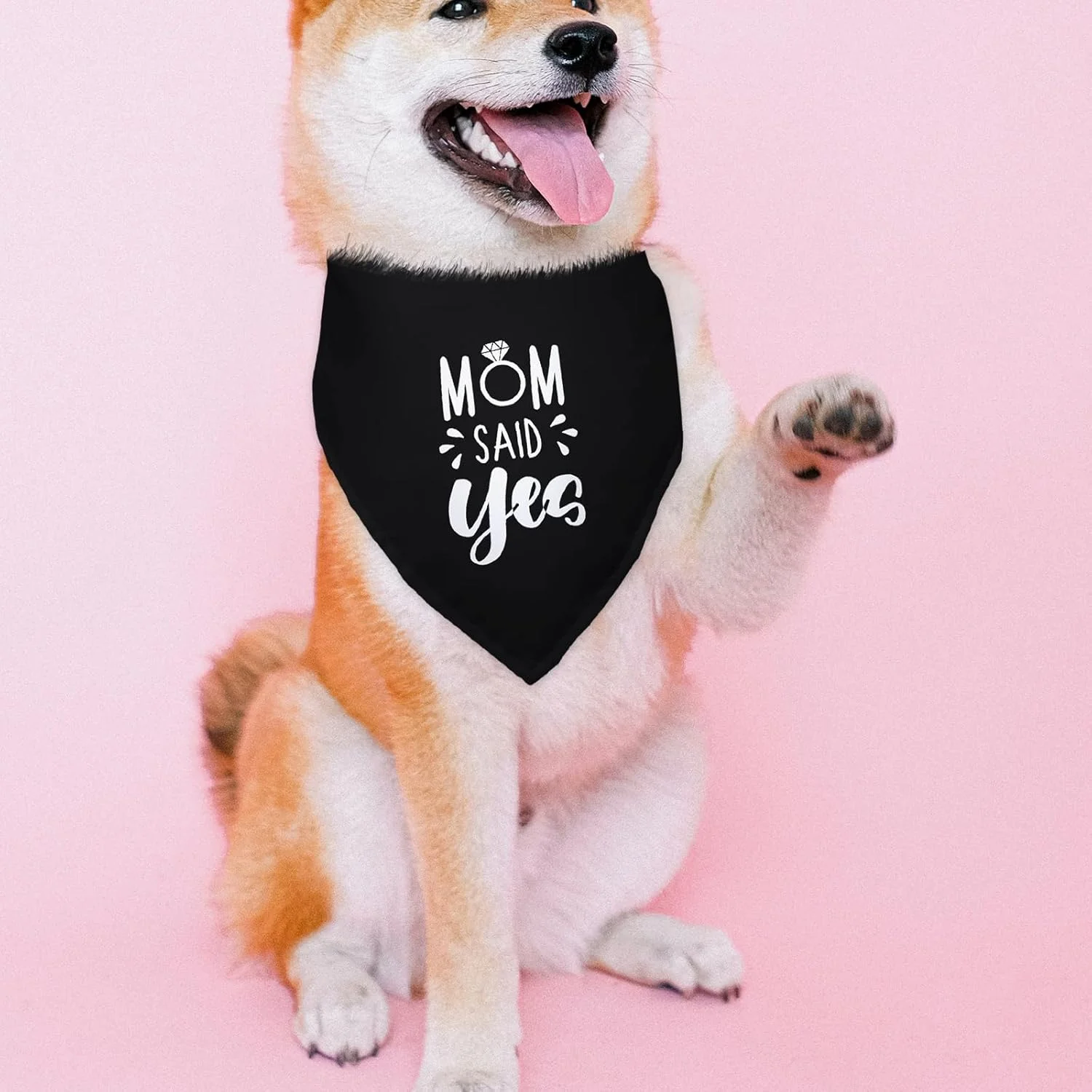 دستمال گردن سگ مشکی با طرح "مادر گفت بله"، مناسب برای اعلام نامزدی و عروسی، اکسسوری حیوانات خانگی، هدیه برای دوستداران سگ دستمال گردن سگ مشکی با طرح "مادر گفت بله"، مناسب برای اعلام نامزدی و عروسی، اکسسوری حیوانات خانگی، هدیه برای دوستداران سگ