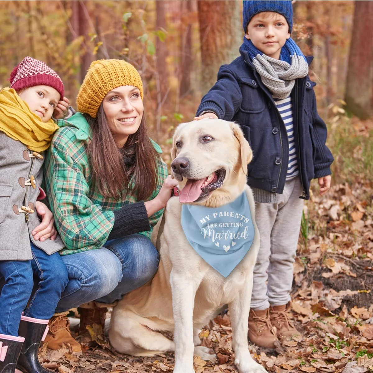 دستمال گردن سگ برای نامزدی عروسی، روسری آبی سگ برای سگ های پسر یا دختر، دستمال پارچه ای فلانل برای حیوانات خانگی کوچک متوسط بزرگ، دستمال گردن سگ با طرح ازدواج والدین من دستمال گردن سگ برای نامزدی عروسی، روسری آبی سگ برای سگ های پسر یا دختر، دستمال پارچه ای فلانل برای حیوانات خانگی کوچک متوسط بزرگ، دستمال گردن سگ با طرح ازدواج والدین من
