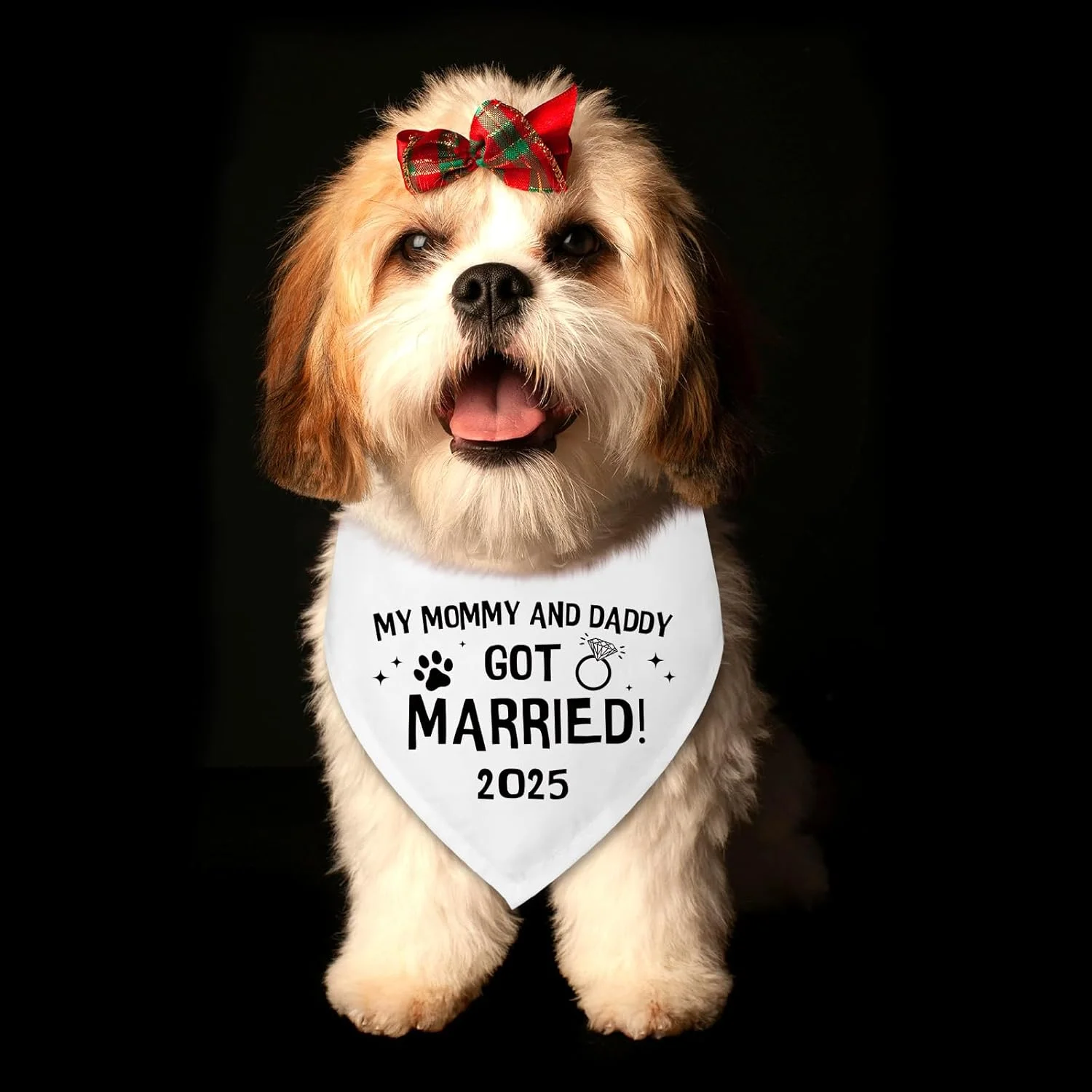 دستمال گردن سگ با طرح ازدواج مامان و بابای من، مناسب سگ ها، دستمال گردن عالی برای عروسی سگ، اعلام نامزدی، هدیه نامزدی برای زوج ها، شال حیوانات خانگی برای گربه ها و سگ های کوچک و متوسط 2025 دستمال گردن سگ با طرح ازدواج مامان و بابای من، مناسب سگ ها، دستمال گردن عالی برای عروسی سگ، اعلام نامزدی، هدیه نامزدی برای زوج ها، شال حیوانات خانگی برای گربه ها و سگ های کوچک و متوسط 2025