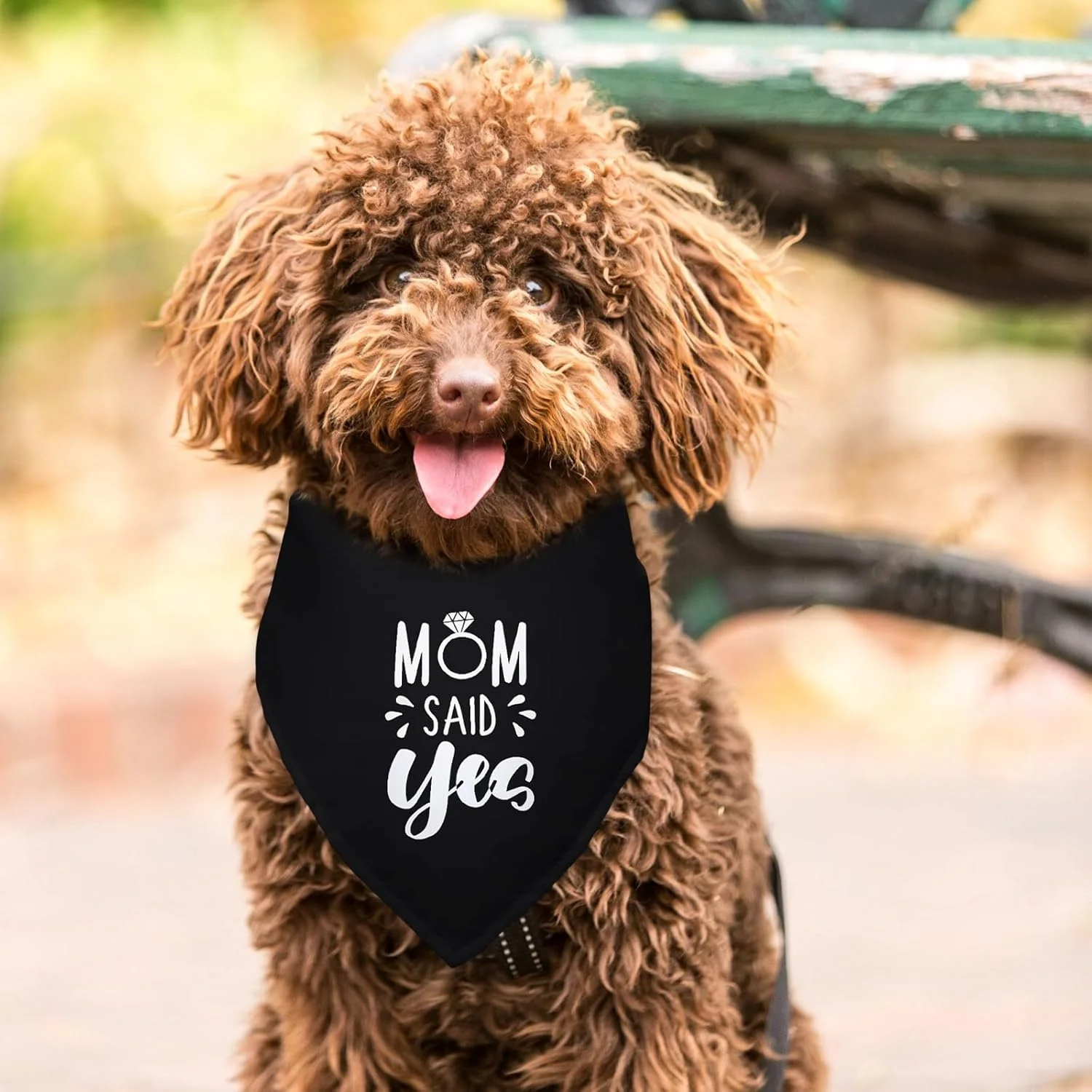 دستمال گردن سگ مشکی با طرح "مادر گفت بله"، مناسب برای اعلام نامزدی و عروسی، اکسسوری حیوانات خانگی، هدیه برای دوستداران سگ دستمال گردن سگ مشکی با طرح "مادر گفت بله"، مناسب برای اعلام نامزدی و عروسی، اکسسوری حیوانات خانگی، هدیه برای دوستداران سگ