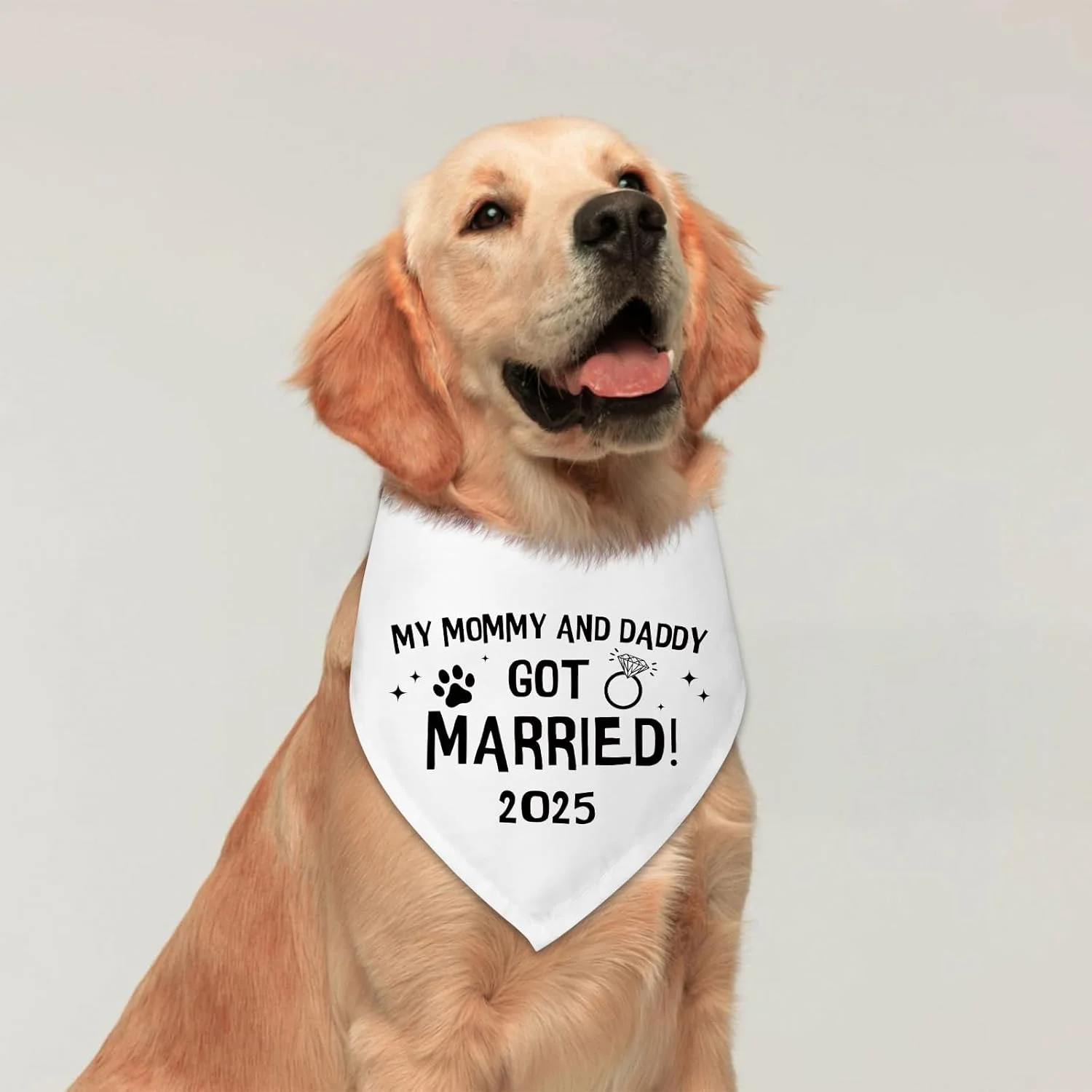 دستمال گردن سگ با طرح ازدواج مامان و بابای من، مناسب سگ ها، دستمال گردن عالی برای عروسی سگ، اعلام نامزدی، هدیه نامزدی برای زوج ها، شال حیوانات خانگی برای گربه ها و سگ های کوچک و متوسط 2025 دستمال گردن سگ با طرح ازدواج مامان و بابای من، مناسب سگ ها، دستمال گردن عالی برای عروسی سگ، اعلام نامزدی، هدیه نامزدی برای زوج ها، شال حیوانات خانگی برای گربه ها و سگ های کوچک و متوسط 2025