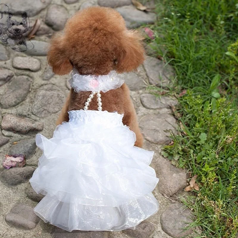 لباس عروس سگ، لباس مجلسی با گردنبند مروارید و گلبرگ رز، مناسب برای سگ و گربه (سفید، XL) لباس عروس سگ، لباس مجلسی با گردنبند مروارید و گلبرگ رز، مناسب برای سگ و گربه (سفید، XL)