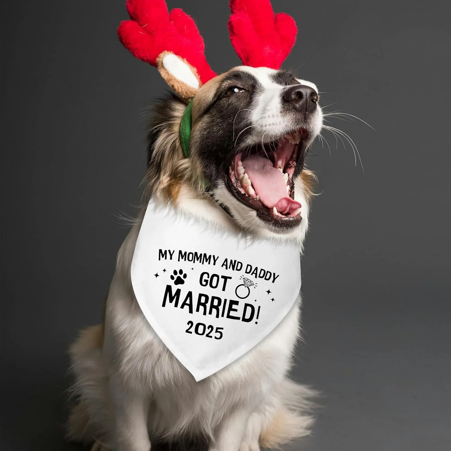 دستمال گردن سگ با طرح ازدواج مامان و بابا، مناسب هدیه عروسی 2025، دستمال گردن سگ، ایده آل برای اعلام نامزدی، هدیه نامزدی برای زوج ها، شال حیوانات خانگی برای سگ و گربه های کوچک و متوسط، سال 2025