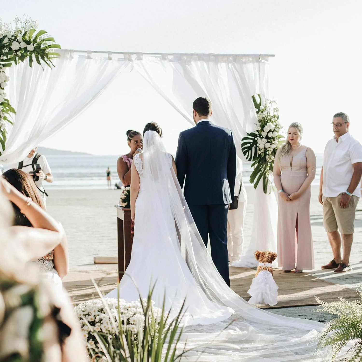 لباس عروس سگ، لباس مجلسی با گردنبند مروارید و گلبرگ رز، مناسب برای سگ و گربه (سفید، XL) لباس عروس سگ، لباس مجلسی با گردنبند مروارید و گلبرگ رز، مناسب برای سگ و گربه (سفید، XL)