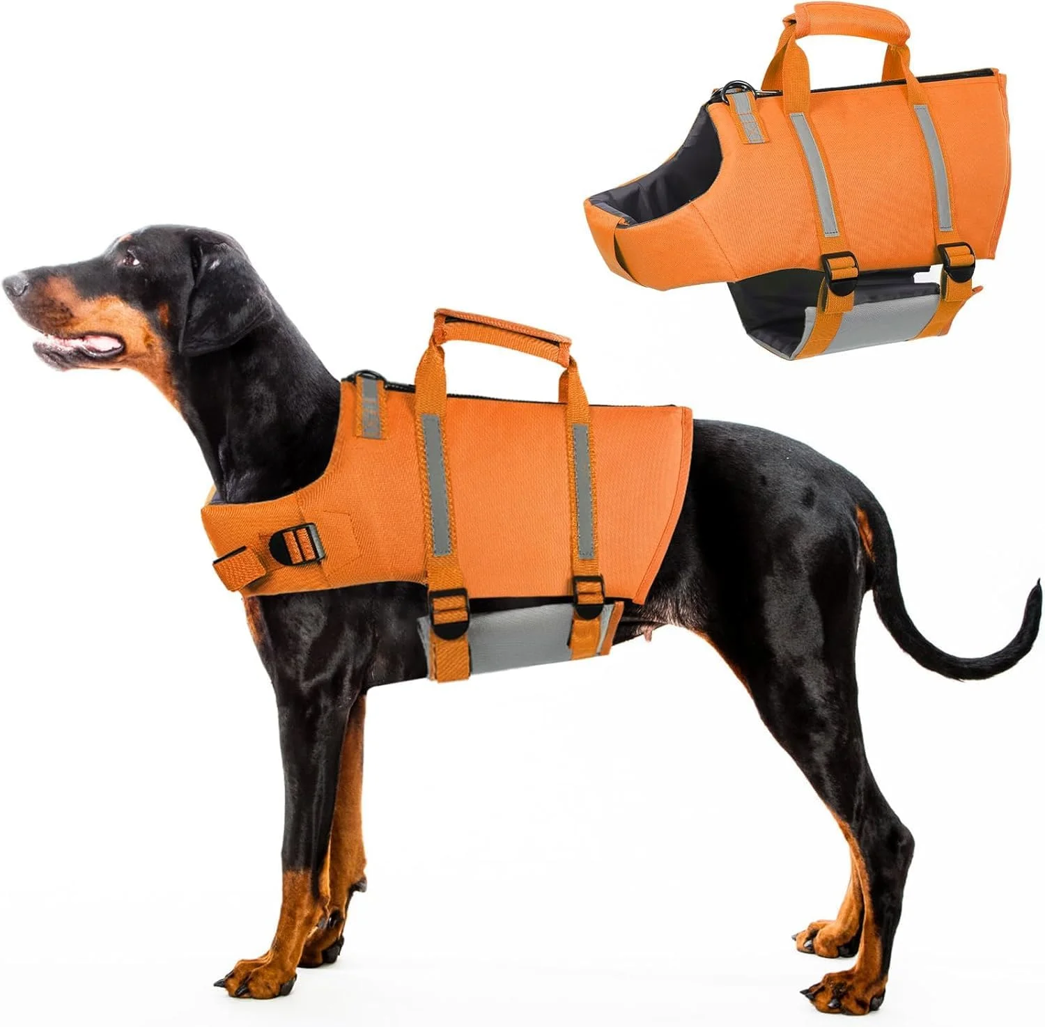 جلیقه نجات سگ THE WHITE SHOP Ripstop برای سگ های کوچک، متوسط و بزرگ، جلیقه شنا برای سگ ها با دید و شناوری بیشتر (نارنجی) جلیقه نجات سگ THE WHITE SHOP Ripstop برای سگ های کوچک، متوسط و بزرگ، جلیقه شنا برای سگ ها با دید و شناوری بیشتر (نارنجی)