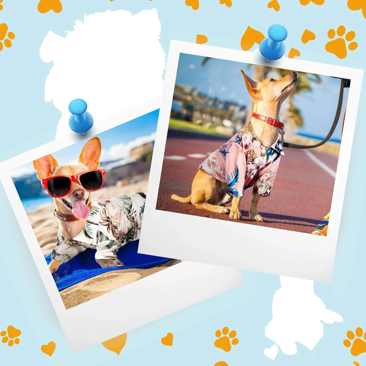 ویوودای 4 عدد تیشرت تابستانی حیوانات خانگی طرح هاوایی، پیراهن سگ کوچک گلدار، تیشرت های چاپی هاوایی خنک و تنفسی، لباس ساحلی برای توله سگ کوچک (طرح گلدار، کوچک) ویوودای 4 عدد تیشرت تابستانی حیوانات خانگی طرح هاوایی، پیراهن سگ کوچک گلدار، تیشرت های چاپی هاوایی خنک و تنفسی، لباس ساحلی برای توله سگ کوچک (طرح گلدار، کوچک)