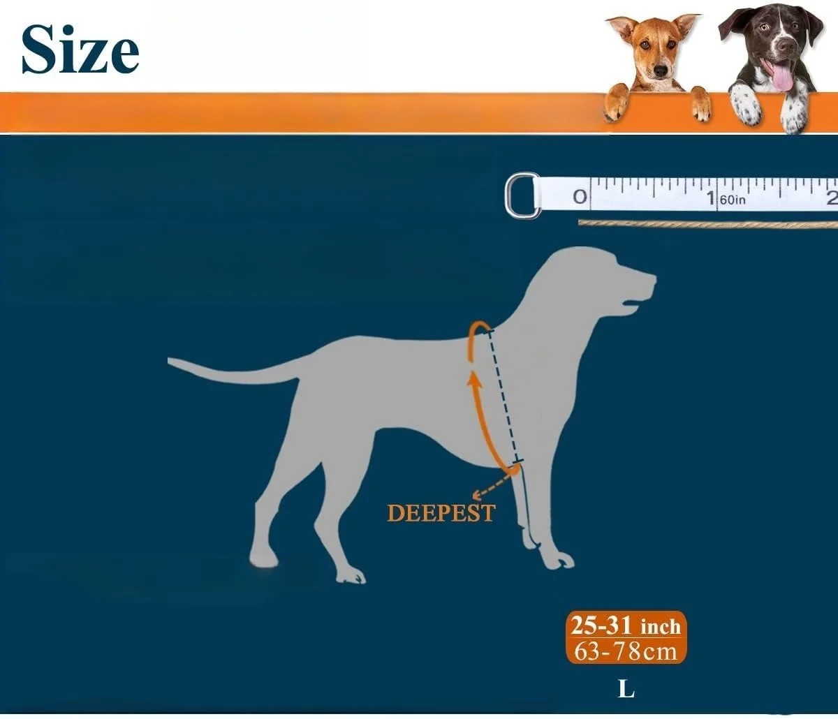 جلیقه نجات سگ THE WHITE SHOP Ripstop برای سگ های کوچک، متوسط و بزرگ، جلیقه شنا برای سگ ها با دید و شناوری بیشتر (نارنجی) جلیقه نجات سگ THE WHITE SHOP Ripstop برای سگ های کوچک، متوسط و بزرگ، جلیقه شنا برای سگ ها با دید و شناوری بیشتر (نارنجی)