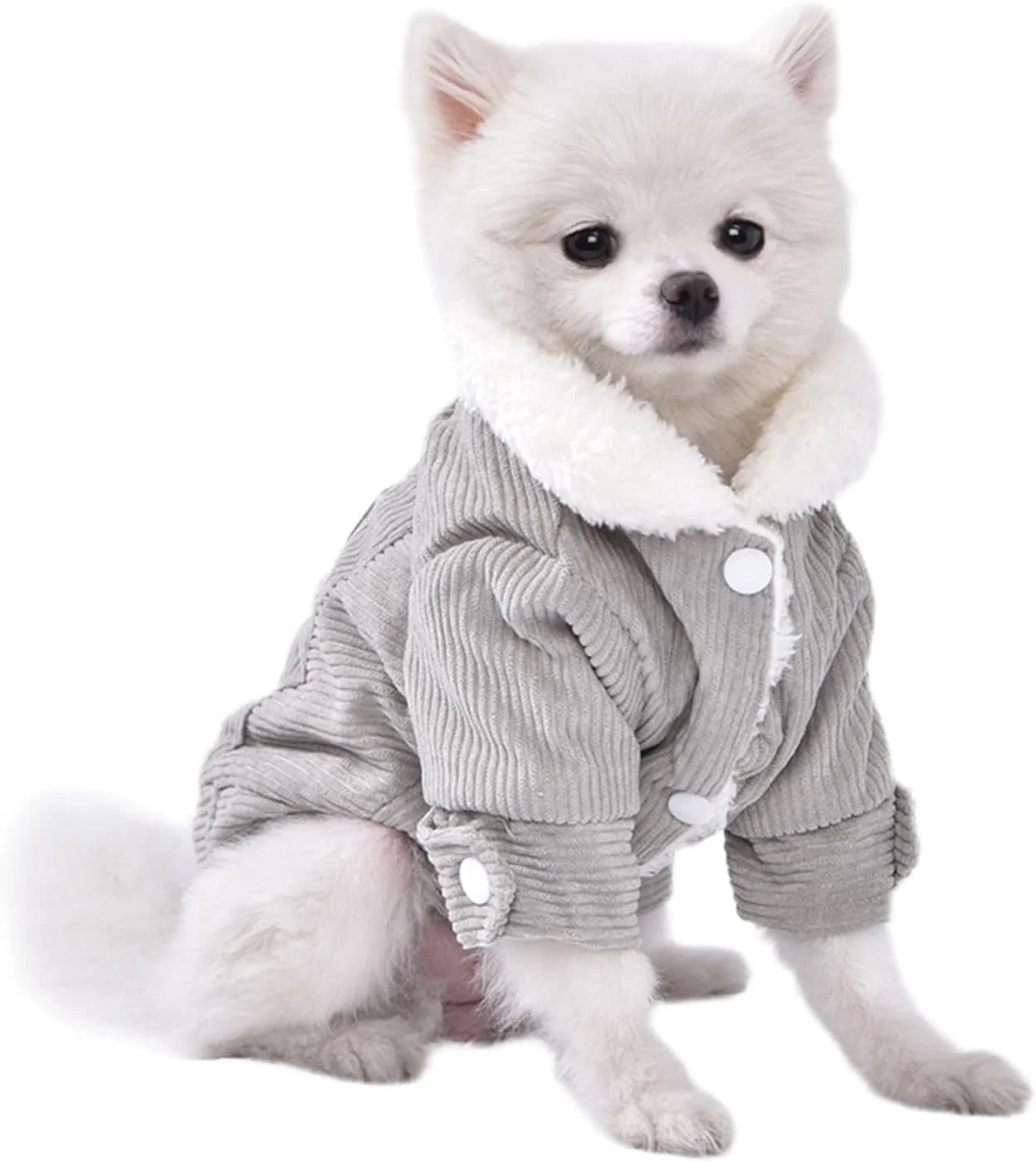WHPLYE لباس سگ دخترانه، لباس یقه اسکی بهاره و زمستانه برای توله سگ و گربه، مناسب عکاسی WHPLYE لباس سگ دخترانه، لباس یقه اسکی بهاره و زمستانه برای توله سگ و گربه، مناسب عکاسی