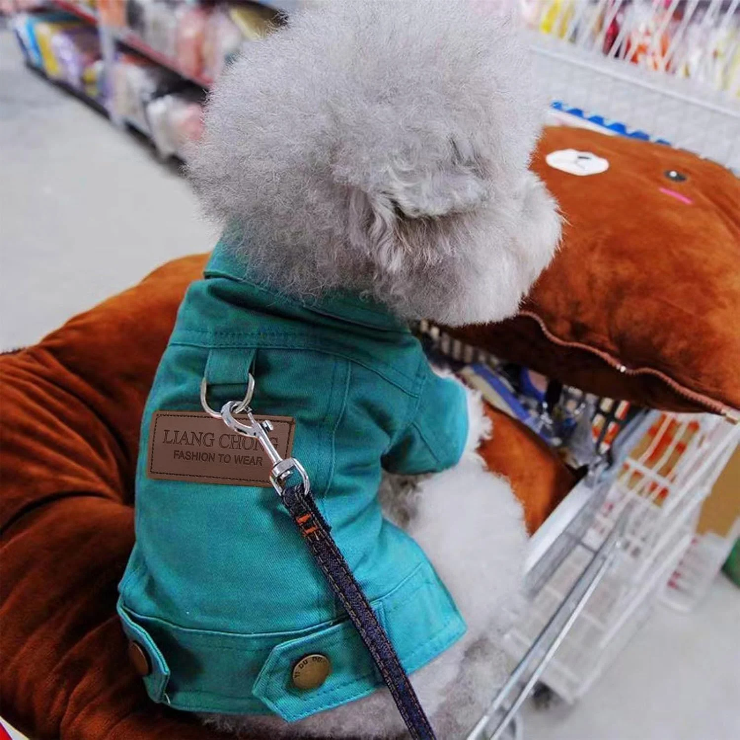 ژاکت جین سگ گاوچران WHPLYE، لباس حیوانات خانگی قابل شستشو با ماشین لباسشویی برای سگ های کوچک، جلیقه حیوانات خانگی، لباس کت حیوانات خانگی ژاکت جین سگ گاوچران WHPLYE، لباس حیوانات خانگی قابل شستشو با ماشین لباسشویی برای سگ های کوچک، جلیقه حیوانات خانگی، لباس کت حیوانات خانگی