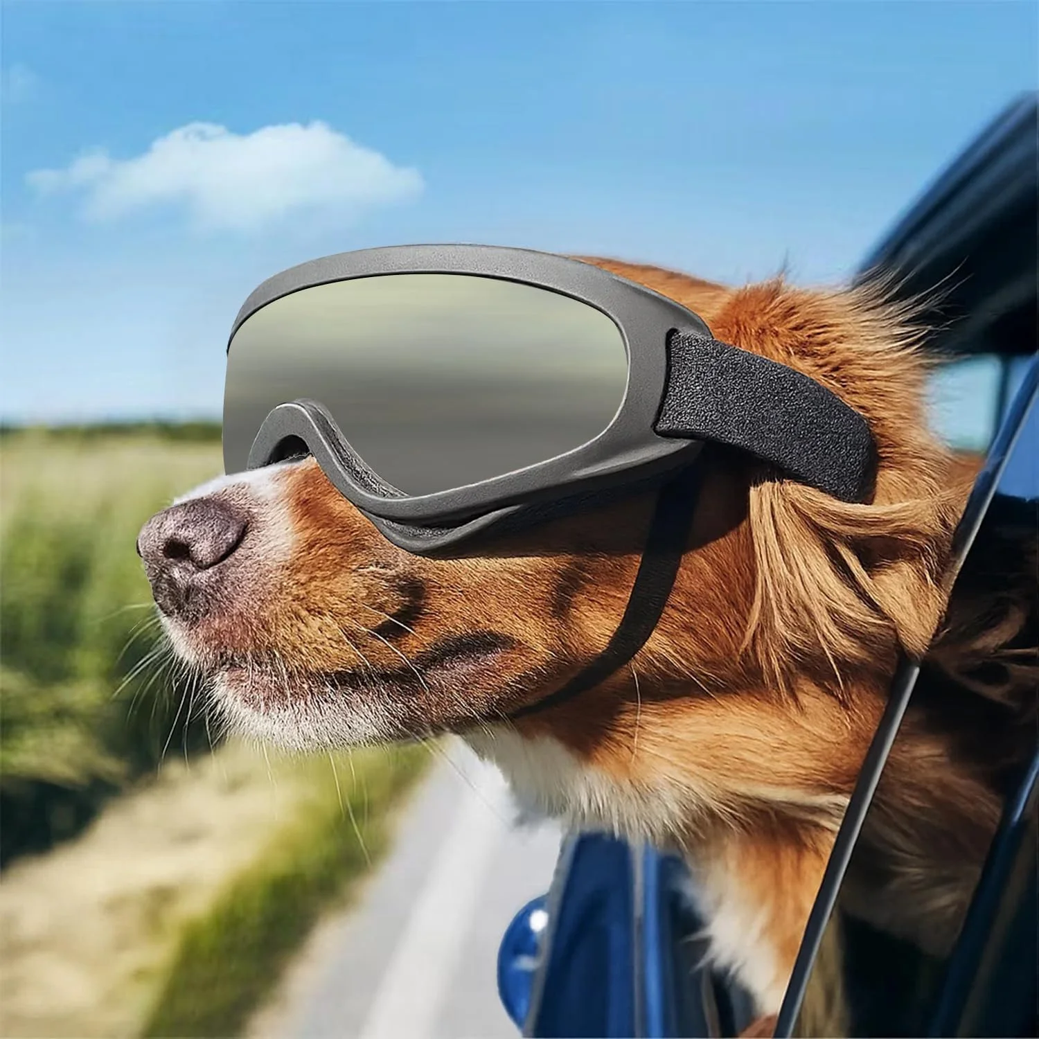 عینک آفتابی سگ، ضد باد و محافظت در برابر اشعه ماوراء بنفش، عینک آفتابی حیوانات خانگی با بند قابل تنظیم برای سگ های بزرگ و متوسط