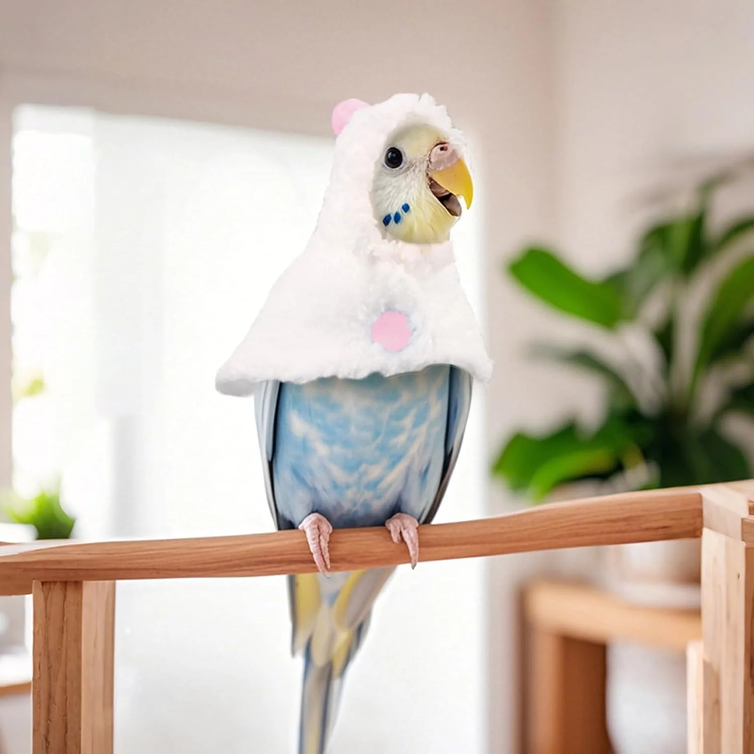 لباس زمستانی طوطی - شنل گرم پرنده طوطی | لباس مبدل زمستانی، لوازم عکسبرداری، لباس زیبا برای مینا