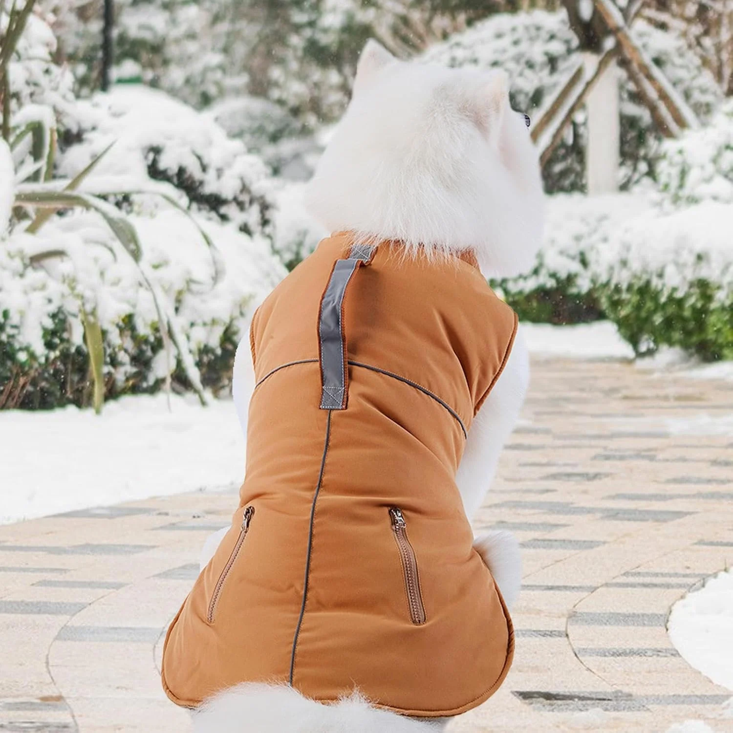 کاپشن زمستانی سگ، کاپشن برفی گرم لباس سگ - لباس توله سگ، لباس سگ، کت ضد باد برای سگ های کوچک و متوسط