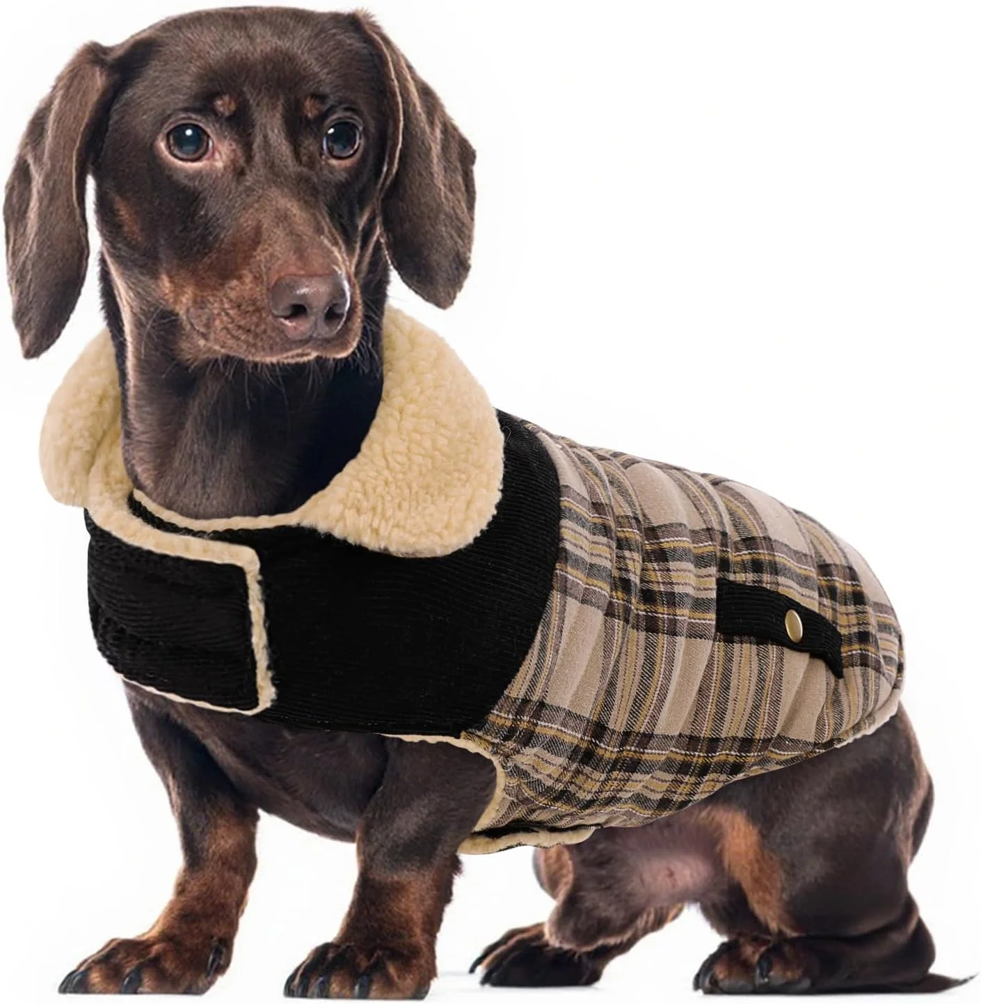 کت زمستانی برای سگ های سایز متوسط، ژاکت چهارخانه سگ، کت حیوانات خانگی برای هوای سرد، لباس های گرم ضد باد، لباس های ضخیم حیوانات خانگی مناسب فضای داخلی و خارجی، بژ M کت زمستانی برای سگ های سایز متوسط، ژاکت چهارخانه سگ، کت حیوانات خانگی برای هوای سرد، لباس های گرم ضد باد، لباس های ضخیم حیوانات خانگی مناسب فضای داخلی و خارجی، بژ M