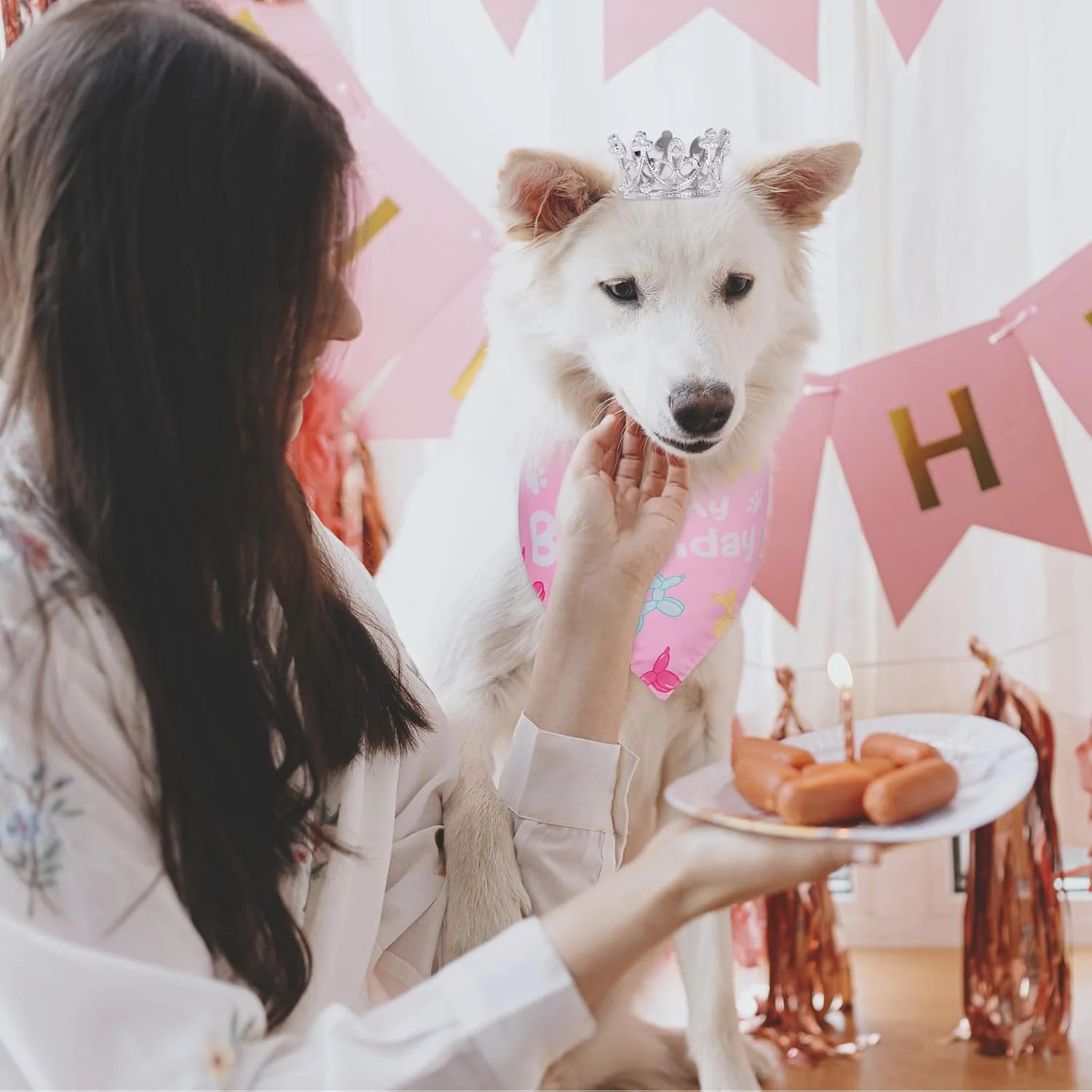 لوازم جشن تولد سگ، دستمال گردن، دامن توتو، پاپیون، تاج، بنر تولدت مبارک، بادکنک های WOOF و اعداد 0-9 برای تزئینات تولد سگ های کوچک لوازم جشن تولد سگ، دستمال گردن، دامن توتو، پاپیون، تاج، بنر تولدت مبارک، بادکنک های WOOF و اعداد 0-9 برای تزئینات تولد سگ های کوچک