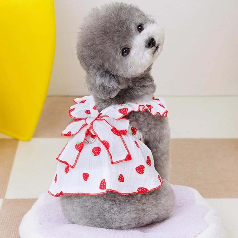 لباس سگ BBQT Wiz مناسب سگ های کوچک دخترانه، لباس سگ دخترانه 100% پنبه ای با حلقه قلاده و تزئین پاپیون، لباس های زیبای سگ کوچک دخترانه با طرح توت فرنگی، لباس های تابستانی گربه فقط برای گربه ها (سفید، خیلی کوچک) لباس سگ BBQT Wiz مناسب سگ های کوچک دخترانه، لباس سگ دخترانه 100% پنبه ای با حلقه قلاده و تزئین پاپیون، لباس های زیبای سگ کوچک دخترانه با طرح توت فرنگی، لباس های تابستانی گربه فقط برای گربه ها (سفید، خیلی کوچک)