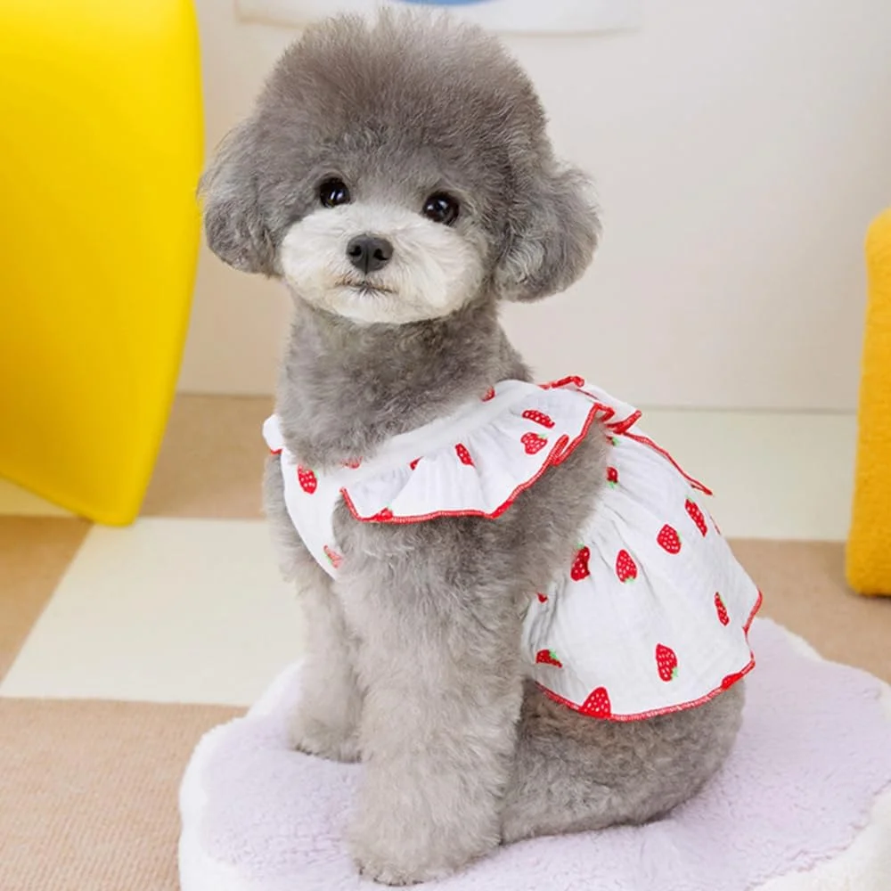 لباس سگ BBQT Wiz مناسب سگ های کوچک دخترانه، لباس سگ دخترانه 100% پنبه ای با حلقه قلاده و تزئین پاپیون، لباس های زیبای سگ کوچک دخترانه با طرح توت فرنگی، لباس های تابستانی گربه فقط برای گربه ها (سفید، خیلی کوچک) لباس سگ BBQT Wiz مناسب سگ های کوچک دخترانه، لباس سگ دخترانه 100% پنبه ای با حلقه قلاده و تزئین پاپیون، لباس های زیبای سگ کوچک دخترانه با طرح توت فرنگی، لباس های تابستانی گربه فقط برای گربه ها (سفید، خیلی کوچک)