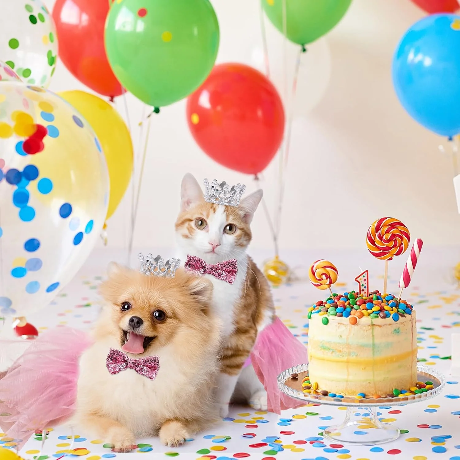 لوازم جشن تولد سگ، دستمال گردن، دامن توتو، پاپیون، تاج، بنر تولدت مبارک، بادکنک های WOOF و اعداد 0-9 برای تزئینات تولد سگ های کوچک لوازم جشن تولد سگ، دستمال گردن، دامن توتو، پاپیون، تاج، بنر تولدت مبارک، بادکنک های WOOF و اعداد 0-9 برای تزئینات تولد سگ های کوچک