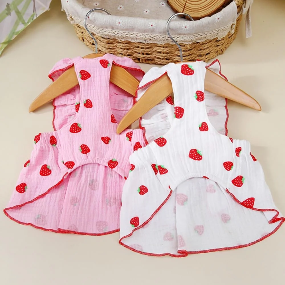 لباس سگ BBQT Wiz مناسب سگ های کوچک دخترانه، لباس سگ دخترانه 100% پنبه ای با حلقه قلاده و تزئین پاپیون، لباس های زیبای سگ کوچک دخترانه با طرح توت فرنگی، لباس های تابستانی گربه فقط برای گربه ها (سفید، خیلی کوچک) لباس سگ BBQT Wiz مناسب سگ های کوچک دخترانه، لباس سگ دخترانه 100% پنبه ای با حلقه قلاده و تزئین پاپیون، لباس های زیبای سگ کوچک دخترانه با طرح توت فرنگی، لباس های تابستانی گربه فقط برای گربه ها (سفید، خیلی کوچک)