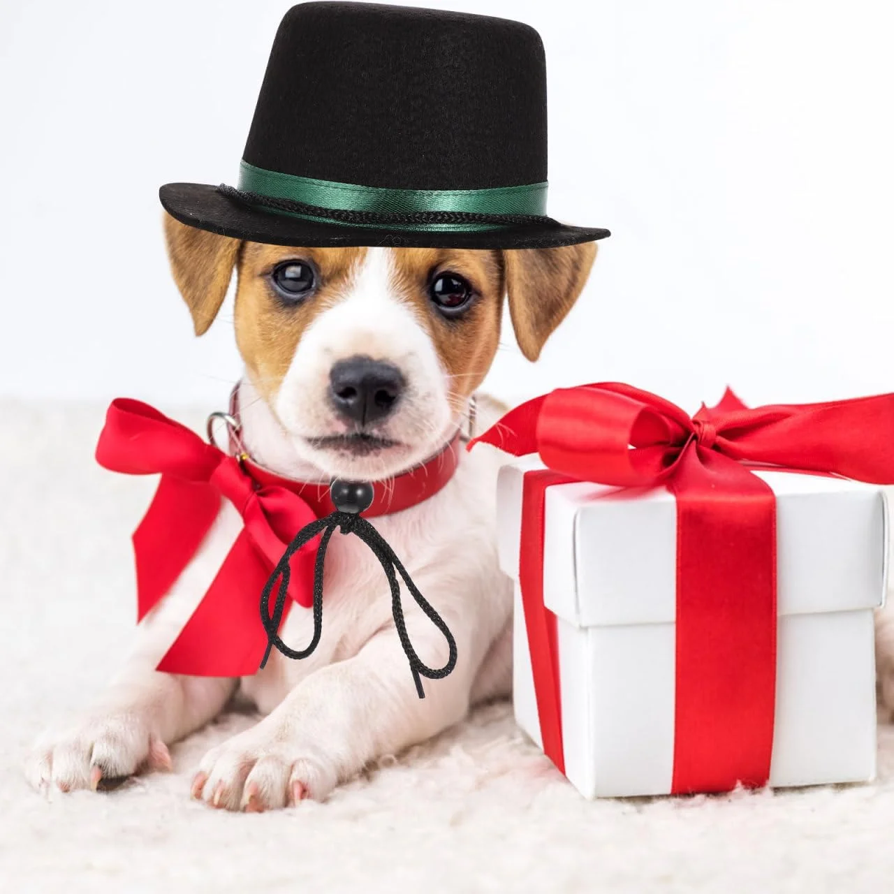 کلاه کاسه ای سگ و گربه قابل تنظیم WOONEKY، مناسب برای عکس و جشن تولد حیوانات خانگی کلاه کاسه ای سگ و گربه قابل تنظیم WOONEKY، مناسب برای عکس و جشن تولد حیوانات خانگی