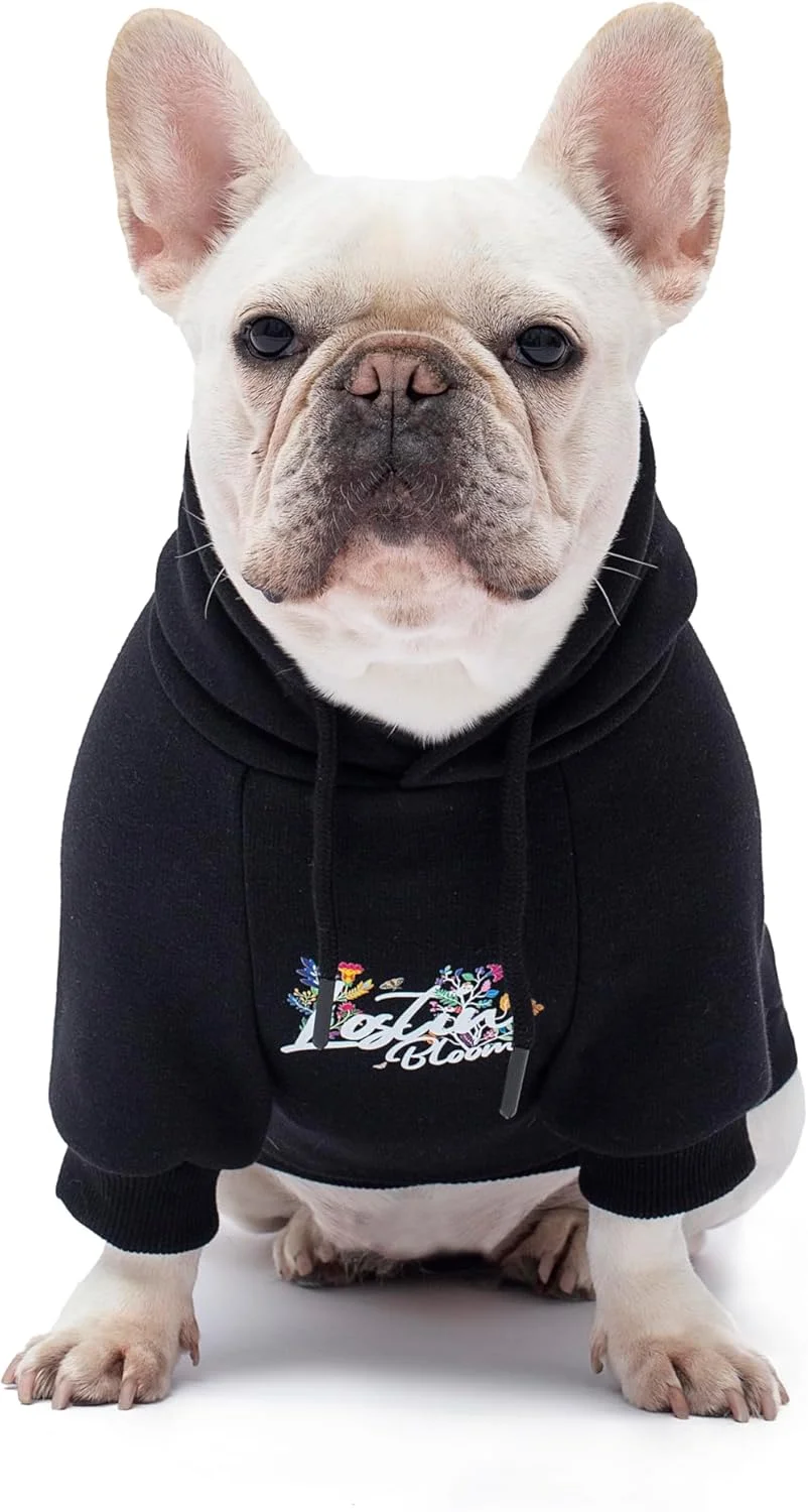 هودی سگ تدی شکوفه دار، لباس سگ، آستر پشمی بسیار گرم، مناسب برای سگ های کوچک و متوسط (مشکی، بزرگ) هودی سگ تدی شکوفه دار، لباس سگ، آستر پشمی بسیار گرم، مناسب برای سگ های کوچک و متوسط (مشکی، بزرگ)