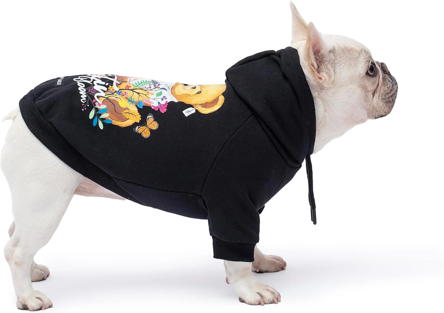 هودی سگ تدی شکوفه دار، لباس سگ، آستر پشمی بسیار گرم، مناسب برای سگ های کوچک و متوسط (مشکی، بزرگ) هودی سگ تدی شکوفه دار، لباس سگ، آستر پشمی بسیار گرم، مناسب برای سگ های کوچک و متوسط (مشکی، بزرگ)