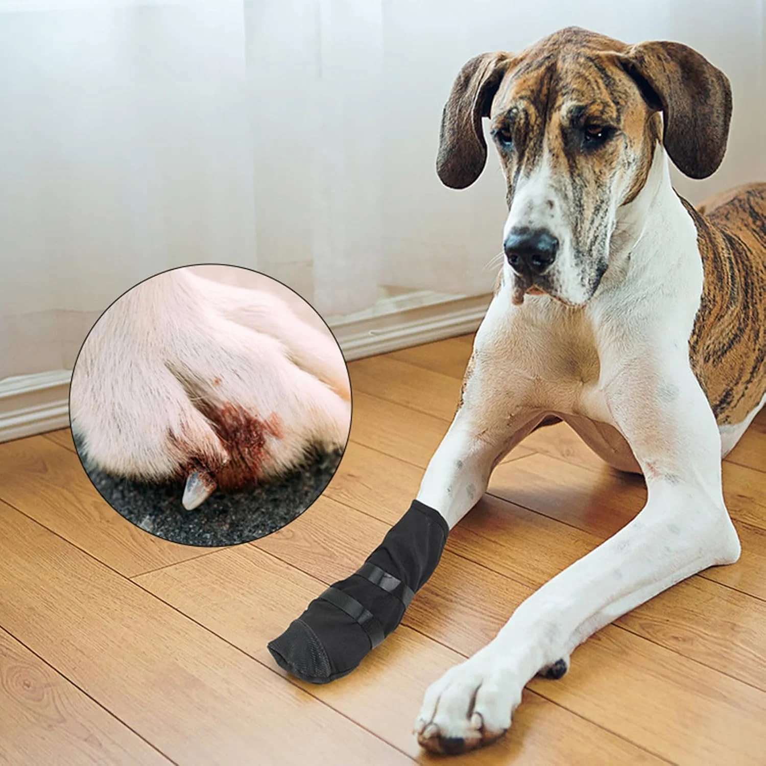 پوشش زخم پنجه سگ | پوشش های ضد آب قابل تنظیم پنجه گربه - پوشش پا سگ، چکمه و محافظ تنفسی سگ برای همه نژادهای سگ پوشش زخم پنجه سگ | پوشش های ضد آب قابل تنظیم پنجه گربه - پوشش پا سگ، چکمه و محافظ تنفسی سگ برای همه نژادهای سگ