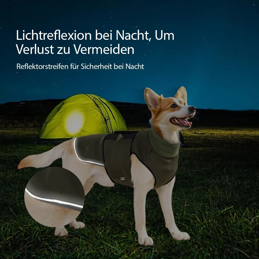 کت آرامش بخش سگ، جلیقه آرام کننده برای سگ ها، پیراهن آرامش بخش سگ با محافظ گوش، نوارهای بازتابنده برای تسکین اضطراب سگ (L) کت آرامش بخش سگ، جلیقه آرام کننده برای سگ ها، پیراهن آرامش بخش سگ با محافظ گوش، نوارهای بازتابنده برای تسکین اضطراب سگ (L)