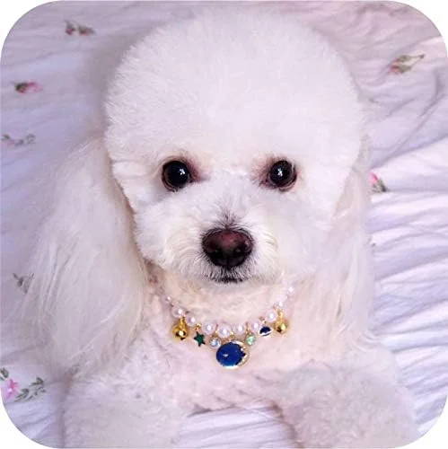 گردنبند سگ پاگ وینتیج زیبا، جواهرات لوکس حیوانات خانگی، زنگوله یقه، مناسب حیوانات کوچک و متوسط، گربه، سگ چیواوا، آویز (آبی، S) گردنبند سگ پاگ وینتیج زیبا، جواهرات لوکس حیوانات خانگی، زنگوله یقه، مناسب حیوانات کوچک و متوسط، گربه، سگ چیواوا، آویز (آبی، S)