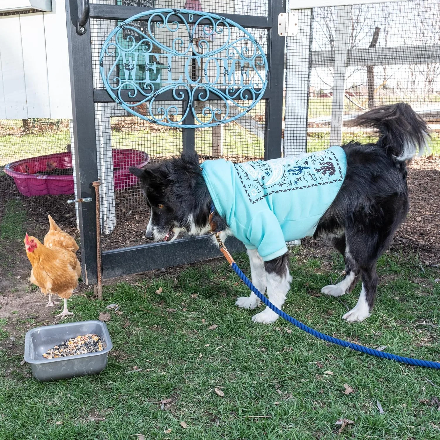 هودی سگ با طرح پوستر صحرایی هودی سگ با طرح پوستر صحرایی