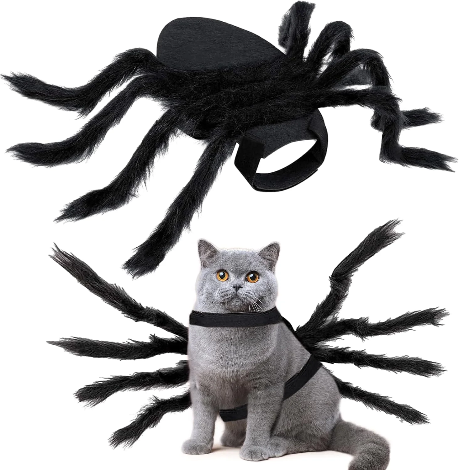 لباس عنکبوتی پولیشی قابل تنظیم سگ و گربه، مناسب هالووین، لوازم مهمانی هالووین، لباس عنکبوتی حیوانات خانگی برای گربه و سگ کوچک، مشکی لباس عنکبوتی پولیشی قابل تنظیم سگ و گربه، مناسب هالووین، لوازم مهمانی هالووین، لباس عنکبوتی حیوانات خانگی برای گربه و سگ کوچک، مشکی