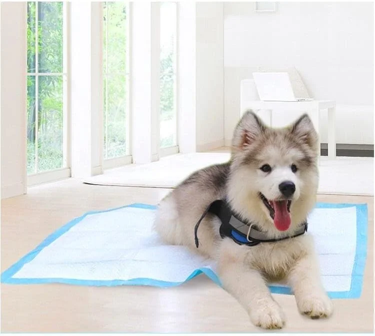 پد بهداشتی سگ تریکسی مدل 23412، 60 × 60 سانتی متر، 10 عدد پد بهداشتی سگ تریکسی مدل 23412، 60 × 60 سانتی متر، 10 عدد