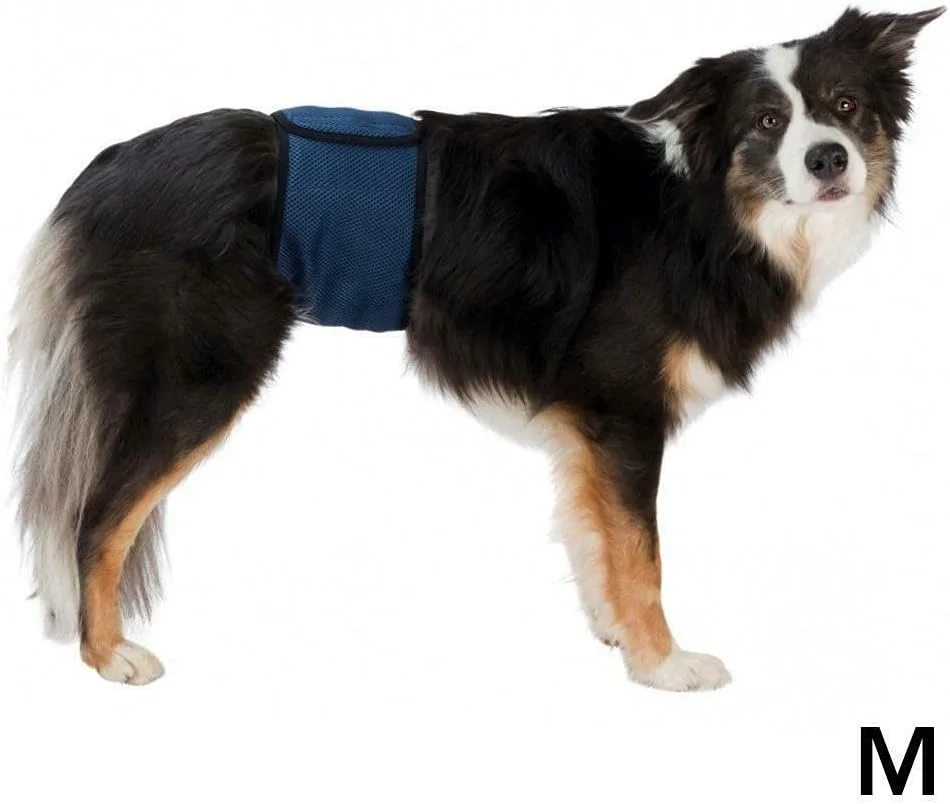 کمربند شکمی سگ نر تریکسی، سایز ۴۵-۵۵ سانتی متر، آبی تیره