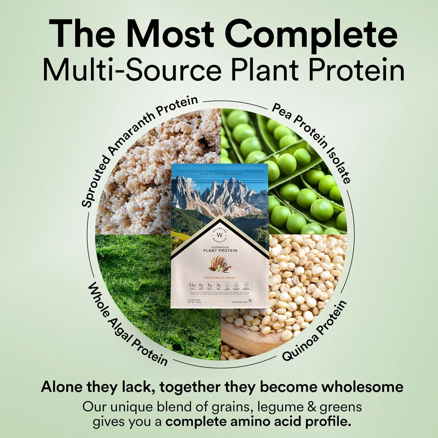 پودر پروتئین گیاهی ایزوله ارگانیک Wellbeing Nutrition | ۲۲ گرم پروتئین، ۵ گرم BCAA پروتئین نخود فرنگی و برنج قهوه ای اروپایی | سوپرفودها، فیبر برای رشد و ریکاوری عضلات | وانیل فرانسوی - ۵۰۰ گرم