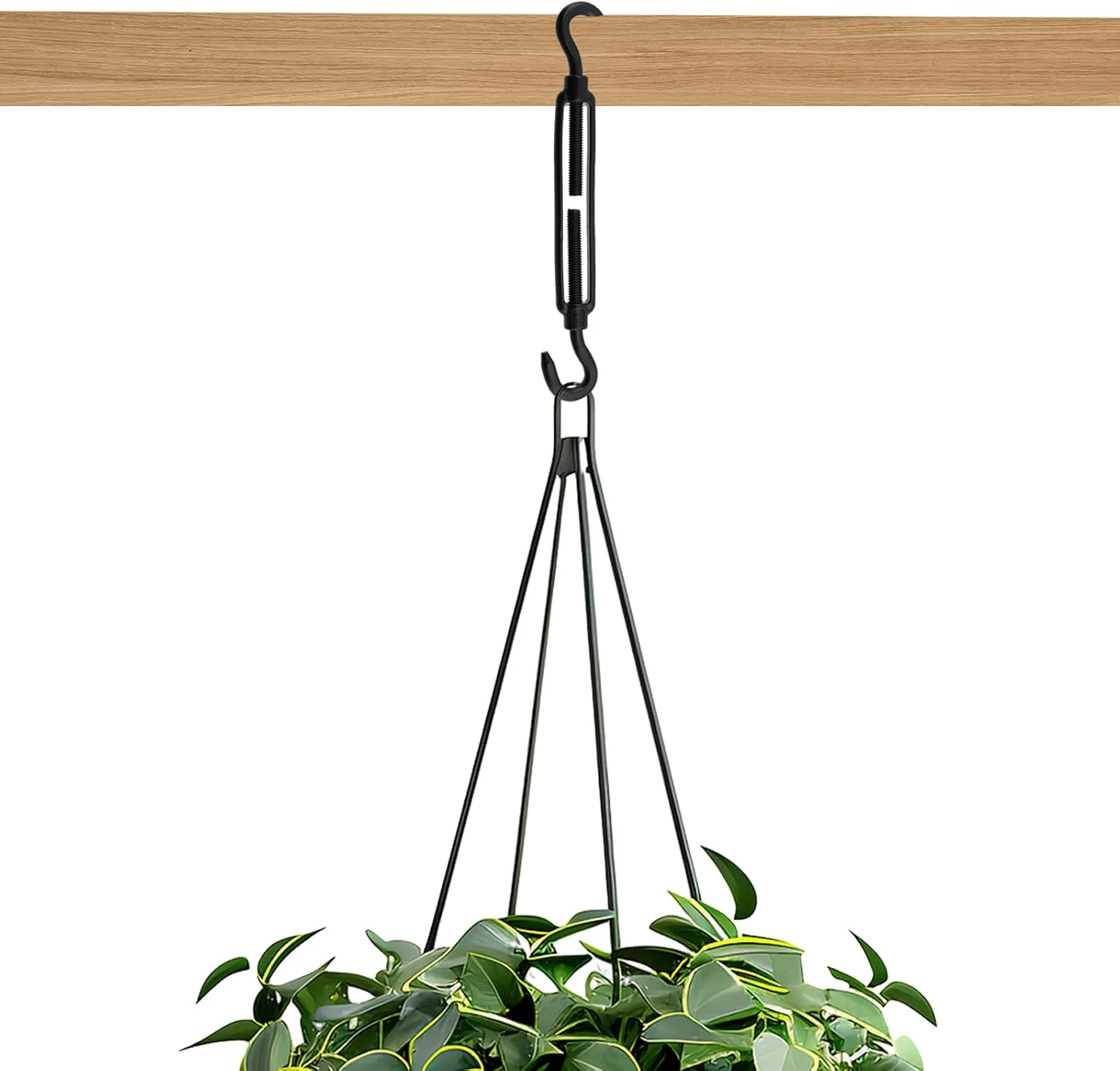 4 عدد بست فلزی M8 از جنس استیل ضد زنگ، قلاب و چشمی کششی، تنظیم کننده سیم بکسل مشکی قابل تنظیم، بست های تزئینی برای آویزان کردن سایه بان در باغ 4 عدد بست فلزی M8 از جنس استیل ضد زنگ، قلاب و چشمی کششی، تنظیم کننده سیم بکسل مشکی قابل تنظیم، بست های تزئینی برای آویزان کردن سایه بان در باغ