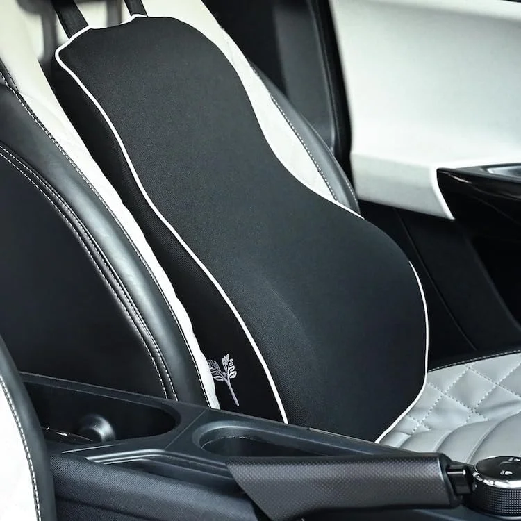 تکیه گاه طبی صندلی خودرو گرین هلث مدل SitRight Pro، فوم حافظه دار، پشتیبانی کامل از کمر، کوسن پشتی صندلی خودرو برای صندلی اداری تکیه گاه طبی صندلی خودرو گرین هلث مدل SitRight Pro، فوم حافظه دار، پشتیبانی کامل از کمر، کوسن پشتی صندلی خودرو برای صندلی اداری