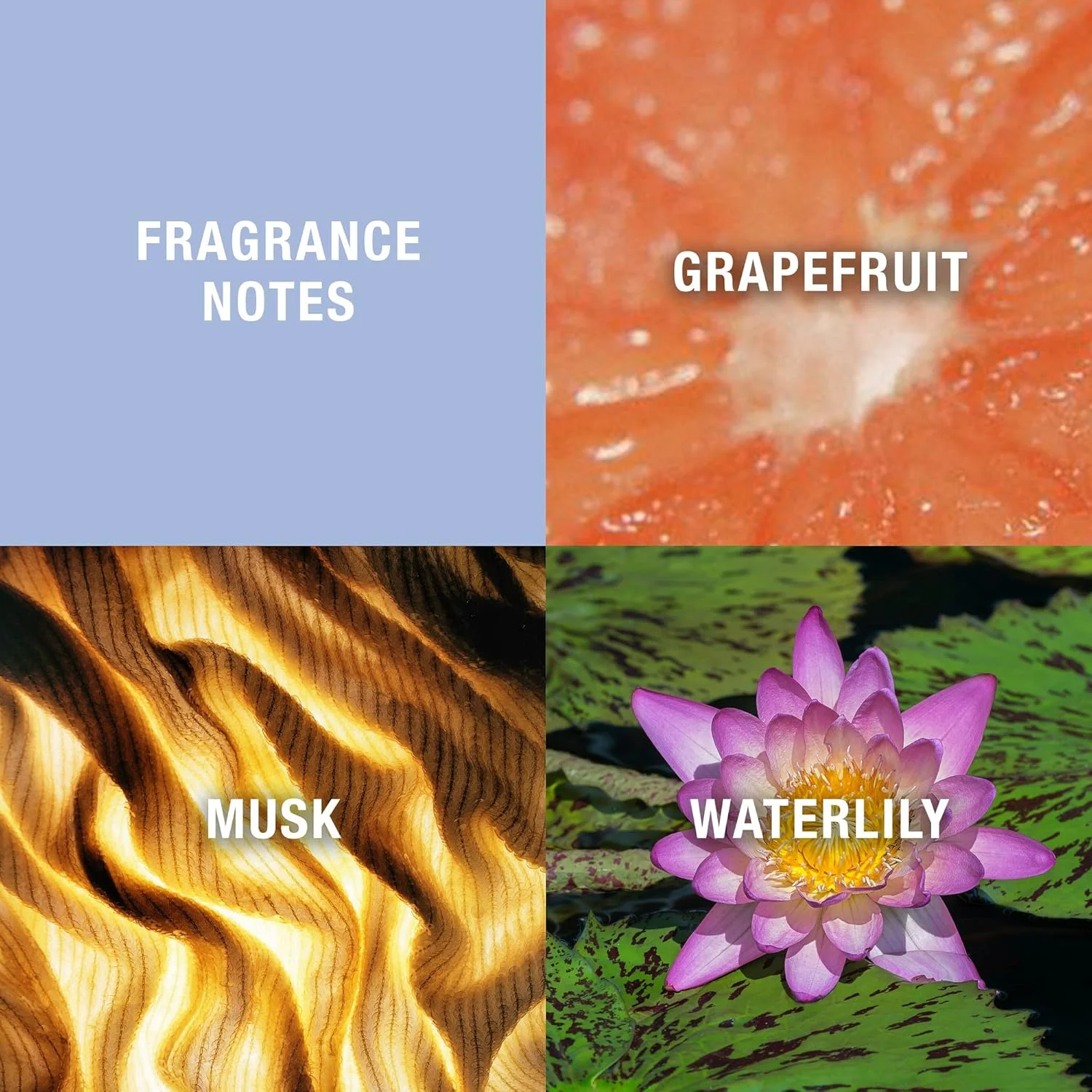 ادکلن زنانه Curve by Liz Claiborne - اسپری ادو تویلت ۱۰۰ میلی‌لیتری