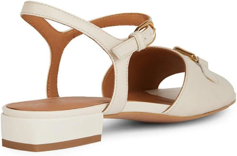 صندل تخت دخترانه جیوکس مدل D New Eraklia 15 صندل تخت دخترانه جیوکس مدل D New Eraklia 15