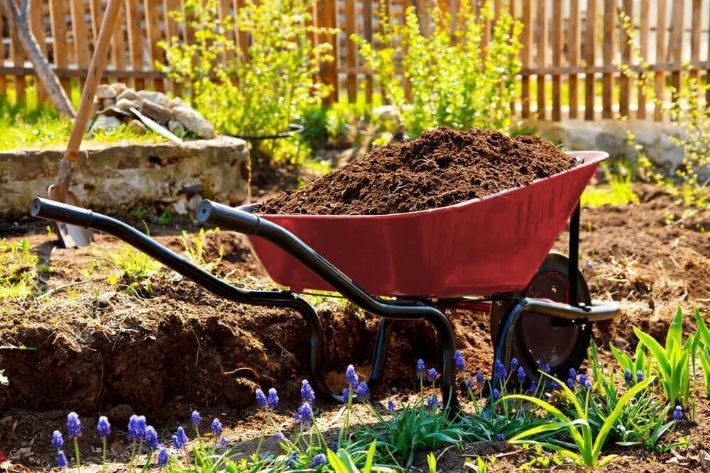 فرغون سنگین دریای زرد. فرغون رنگ قرمز. (90 سانتی متر x 65 سانتی متر) مناسب باغ و خانه